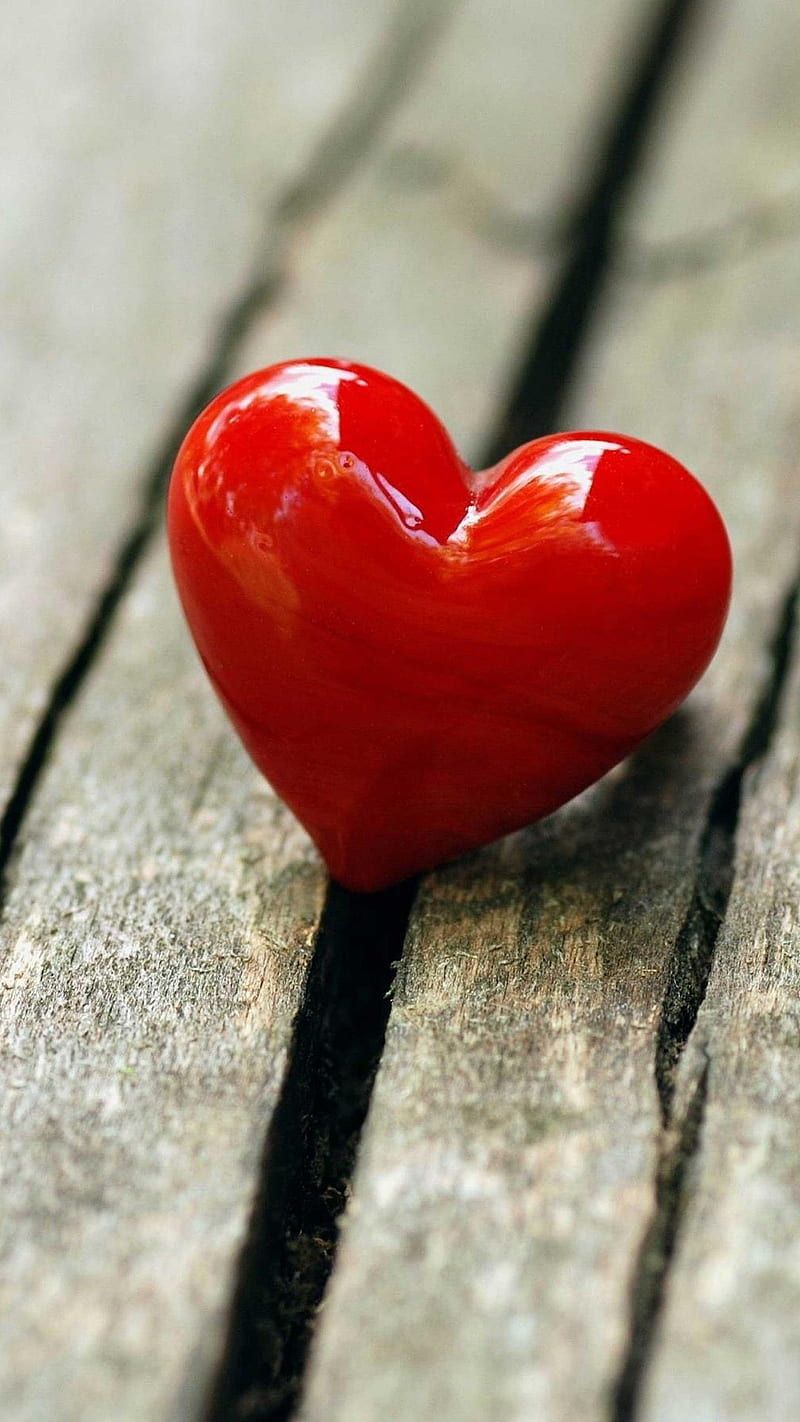 800x1422 Love Heart, dil love, HD phone wallpaper