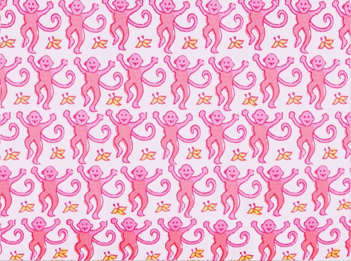 Roller Rabbit Wallpapers - Top Free Roller Rabbit Backgrounds ...