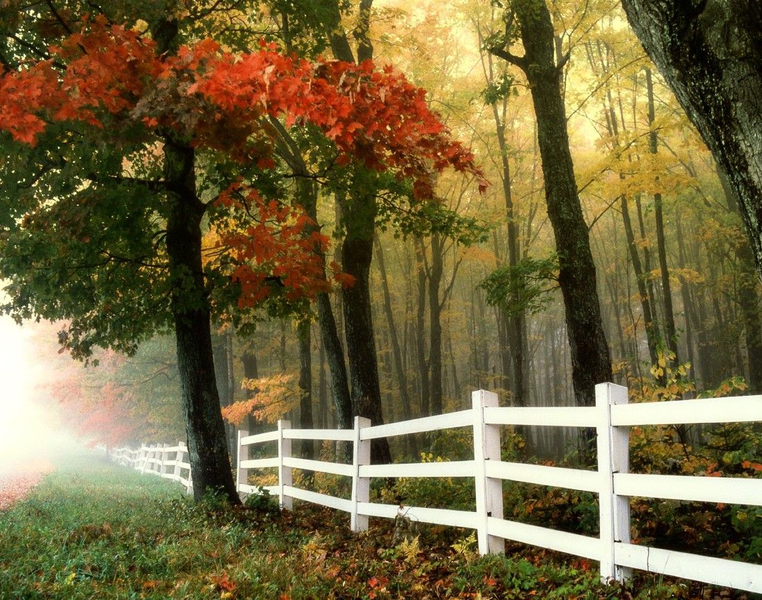 Wood Fence Wallpapers - Top Free Wood Fence Backgrounds - WallpaperAccess