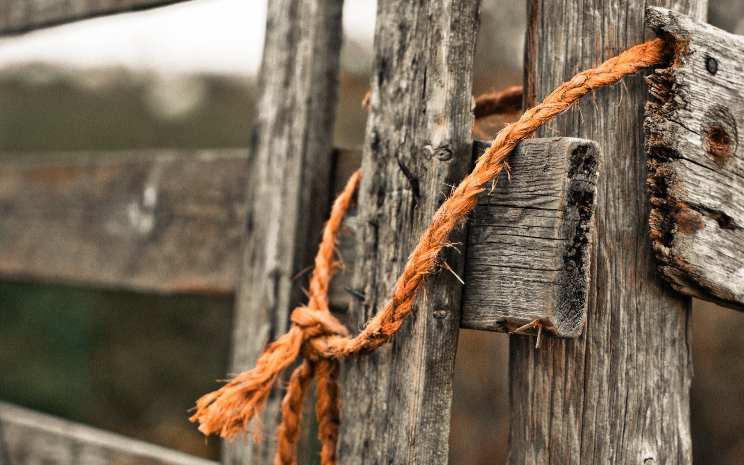 2560x1600 Wood Fence HD