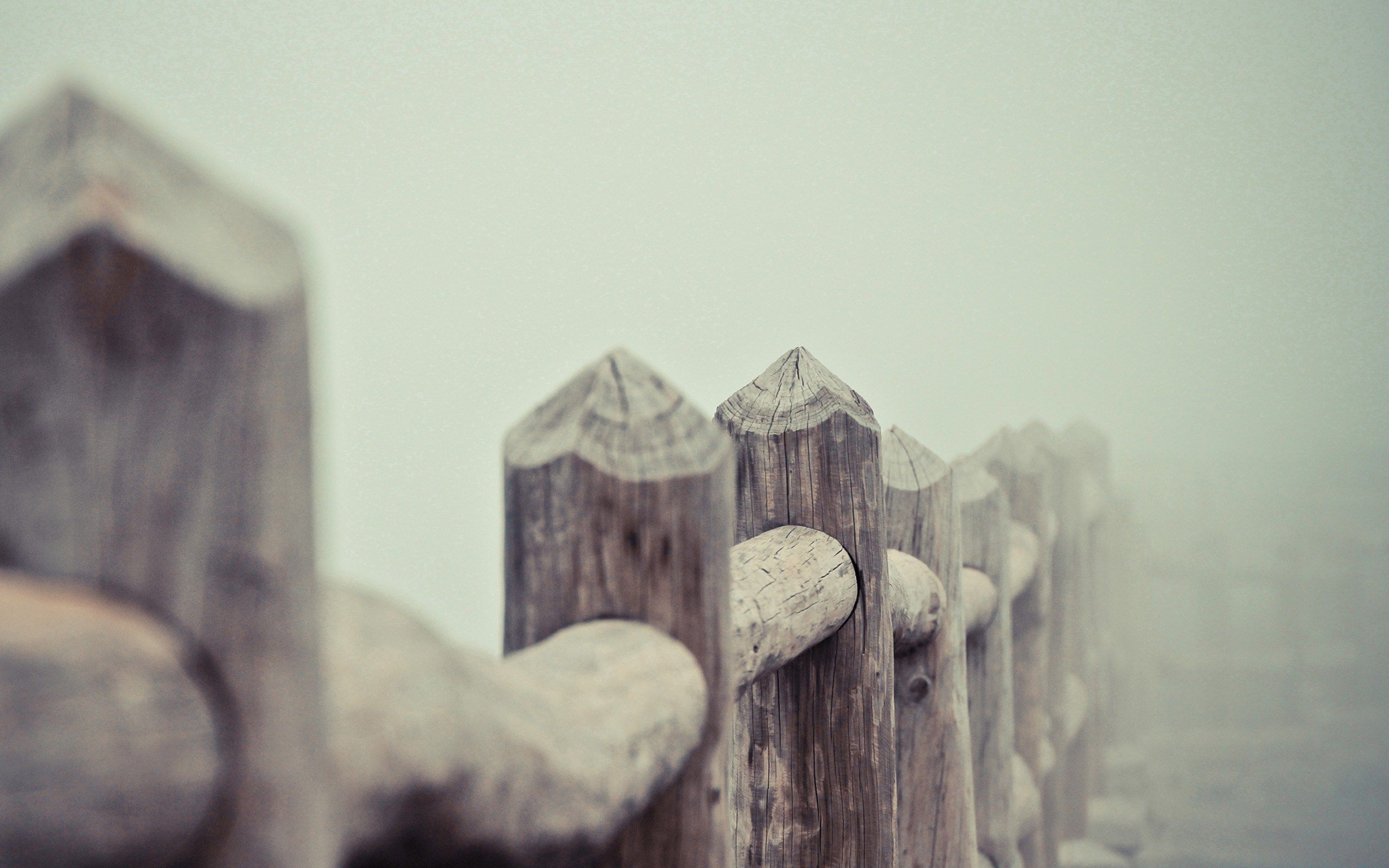 2560x1600 Stunning HD Fence Wallpaper