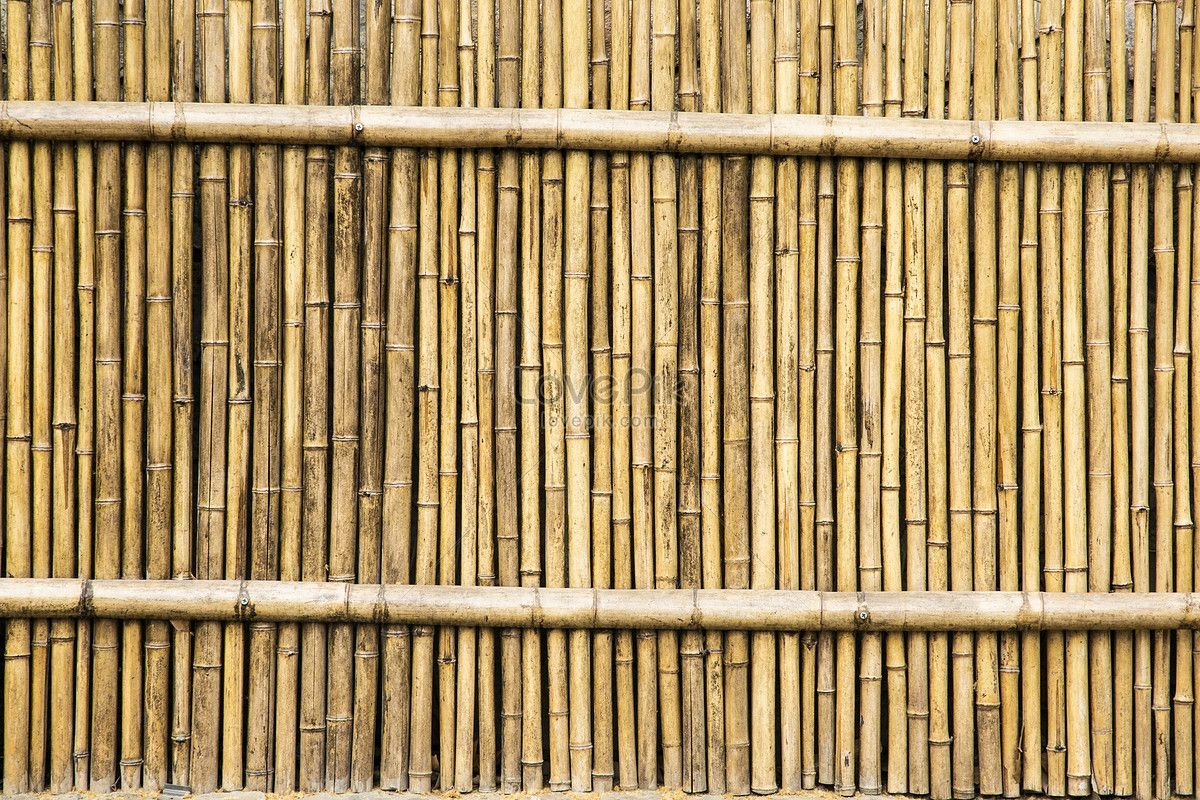 1200x800 Download Fence HD photo. Free