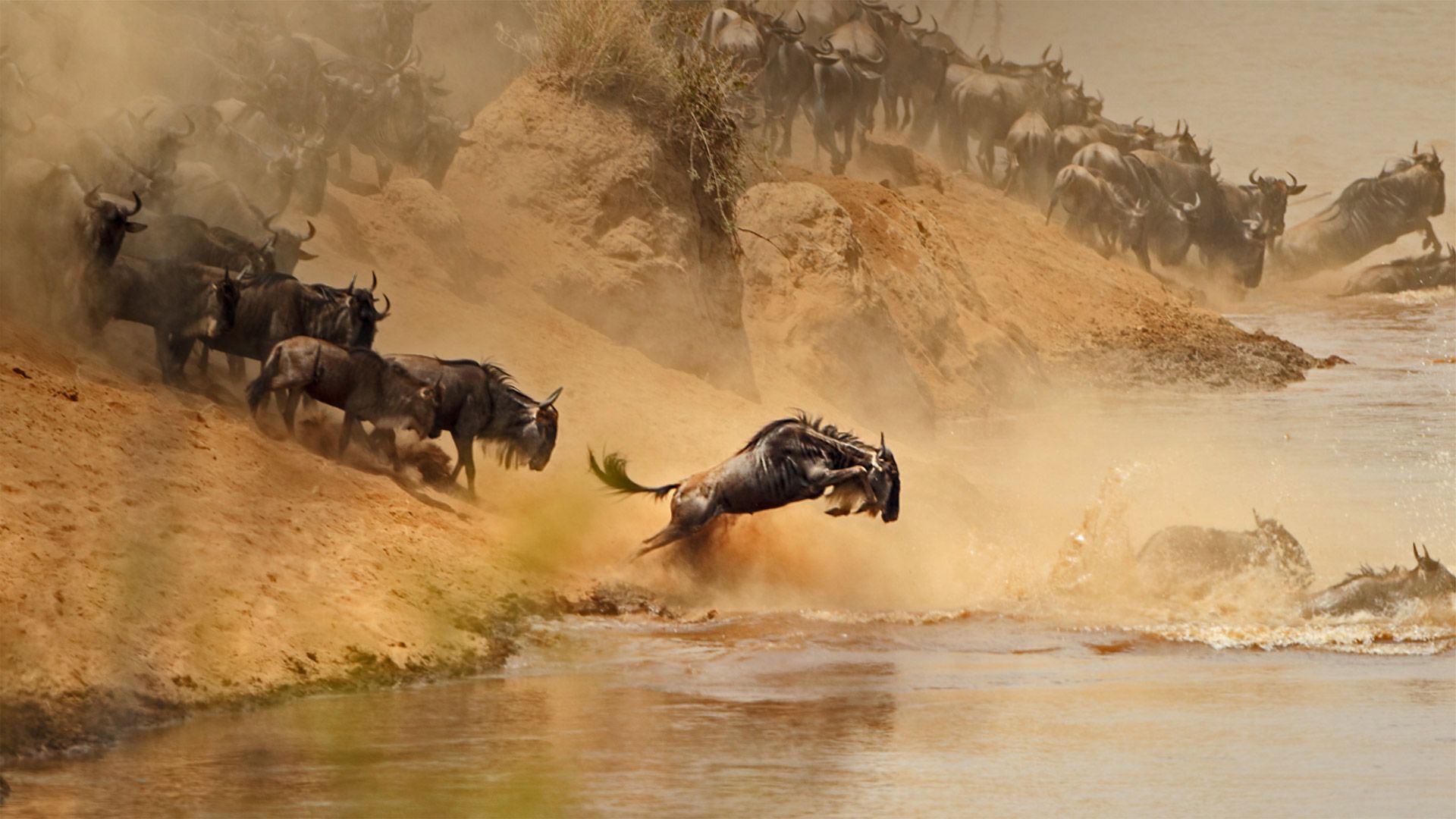 1920x1080 Bing image: Look before you leap Wallpaper Gallery