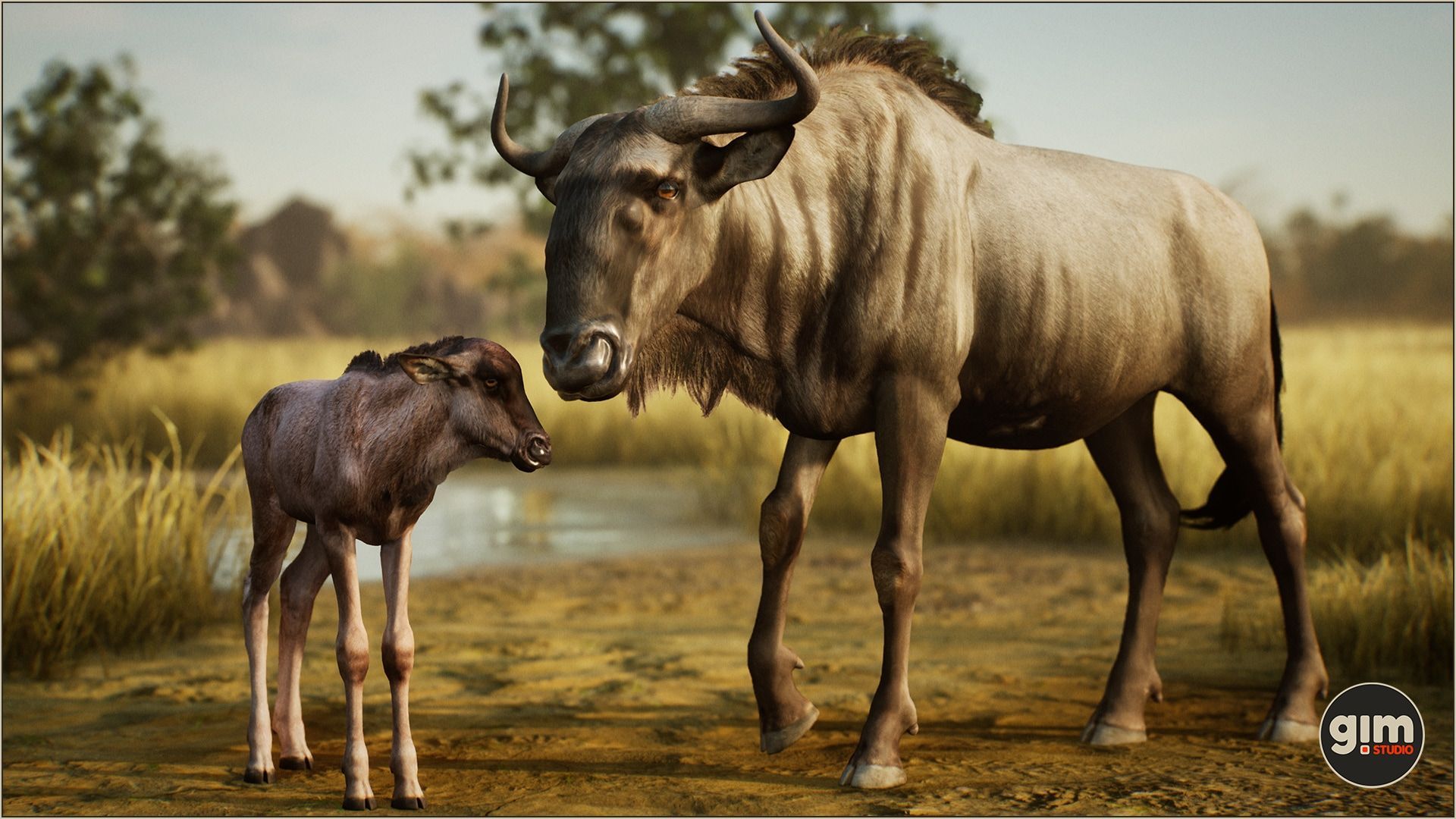 1920x1080 Animalia Wildebeest (pack) in Characters