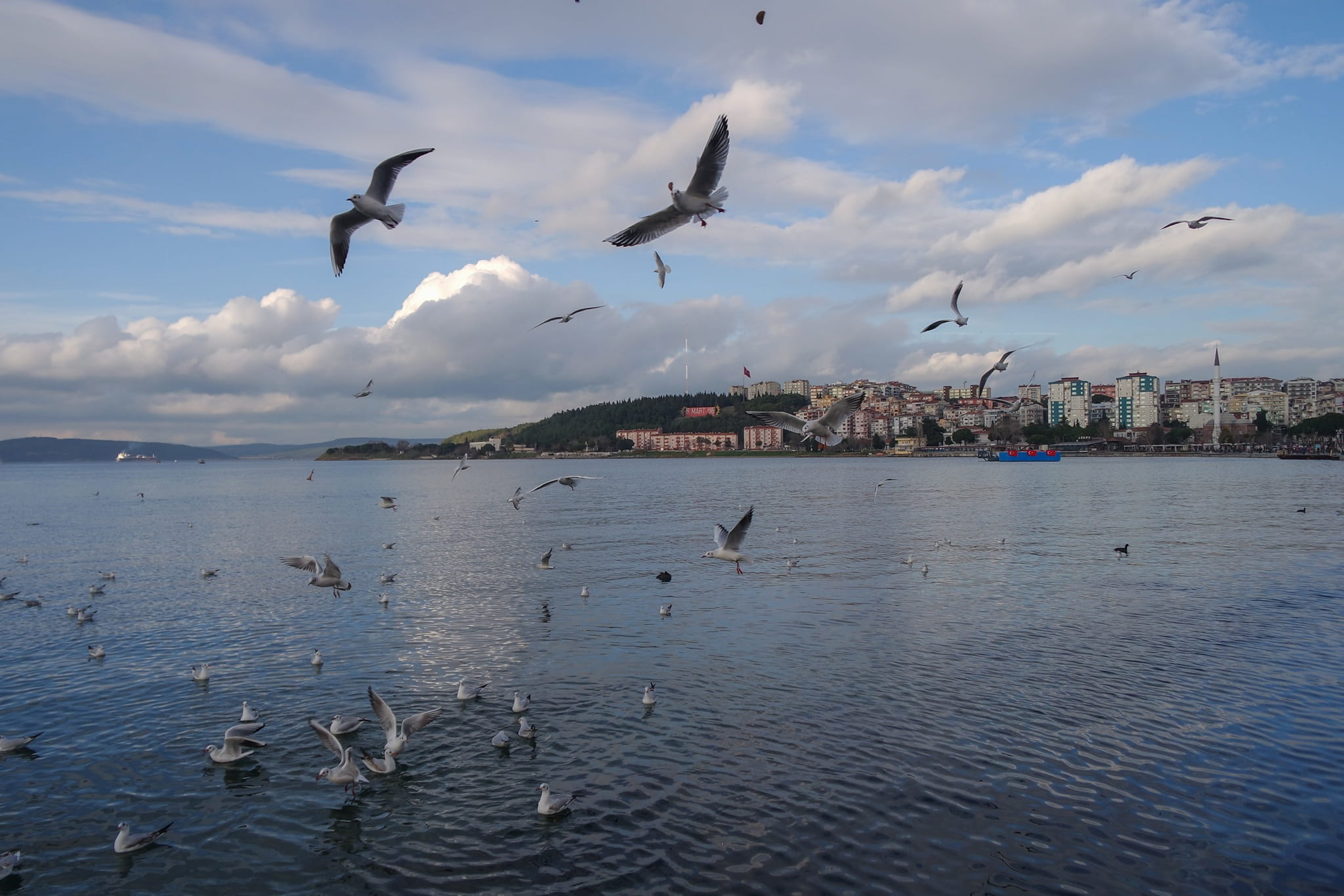 2048x1365 Canakkale 1080P, 2k, 4k Full HD Wallpaper, Background Free Download