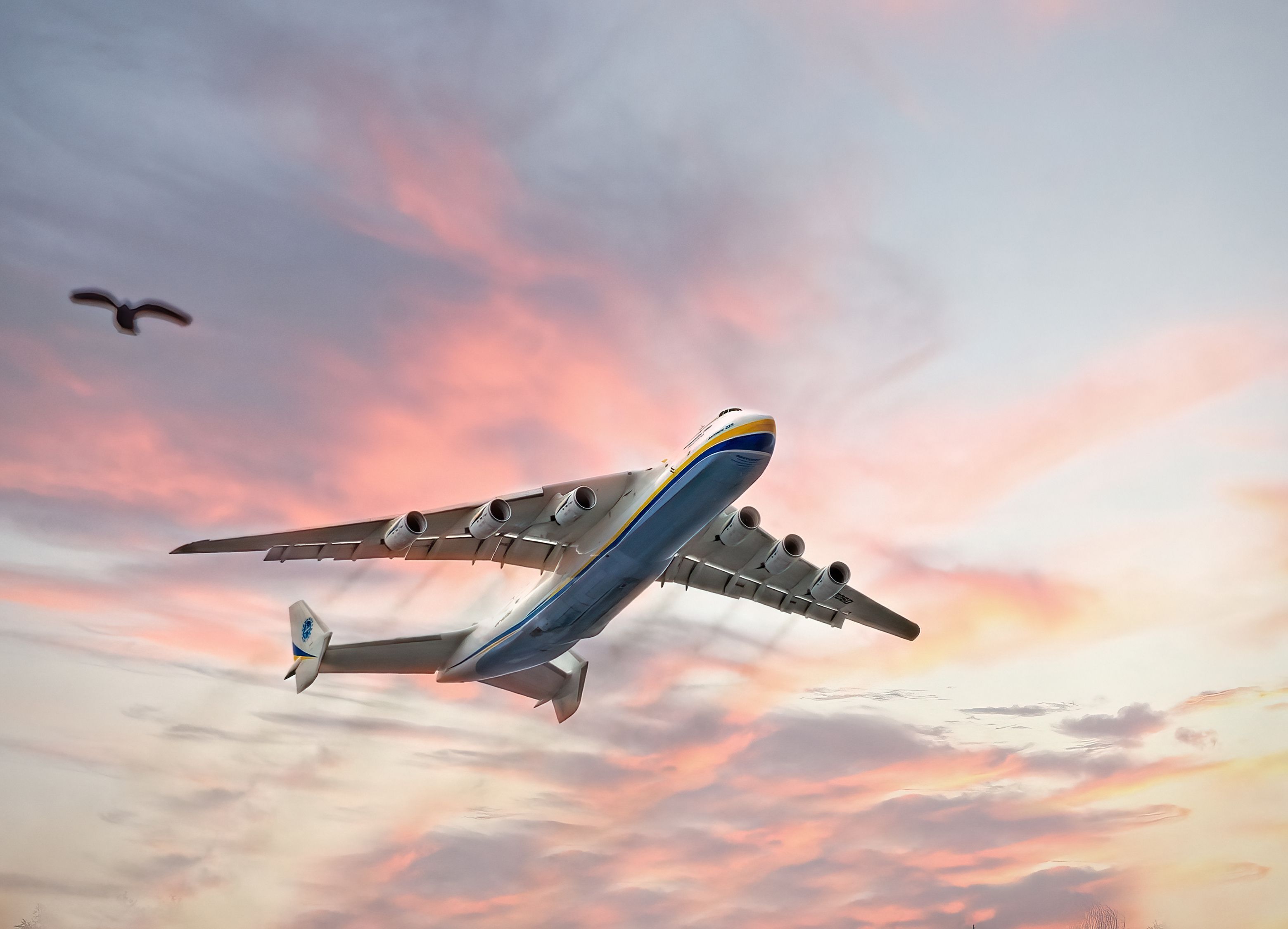 3119x2251 World's Largest Plane, Antonov AN- Compared to Other Aircraft After Russia Destroys It