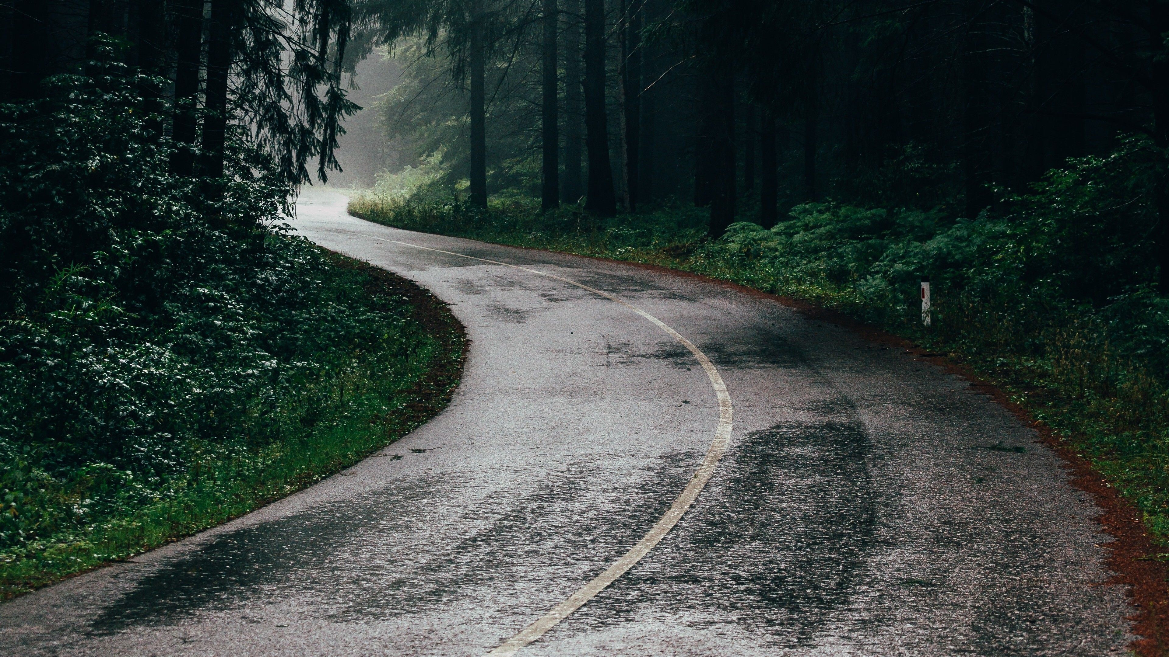 3840x2160 Rain in Jungle Road Nature View 4K Wallpaper
