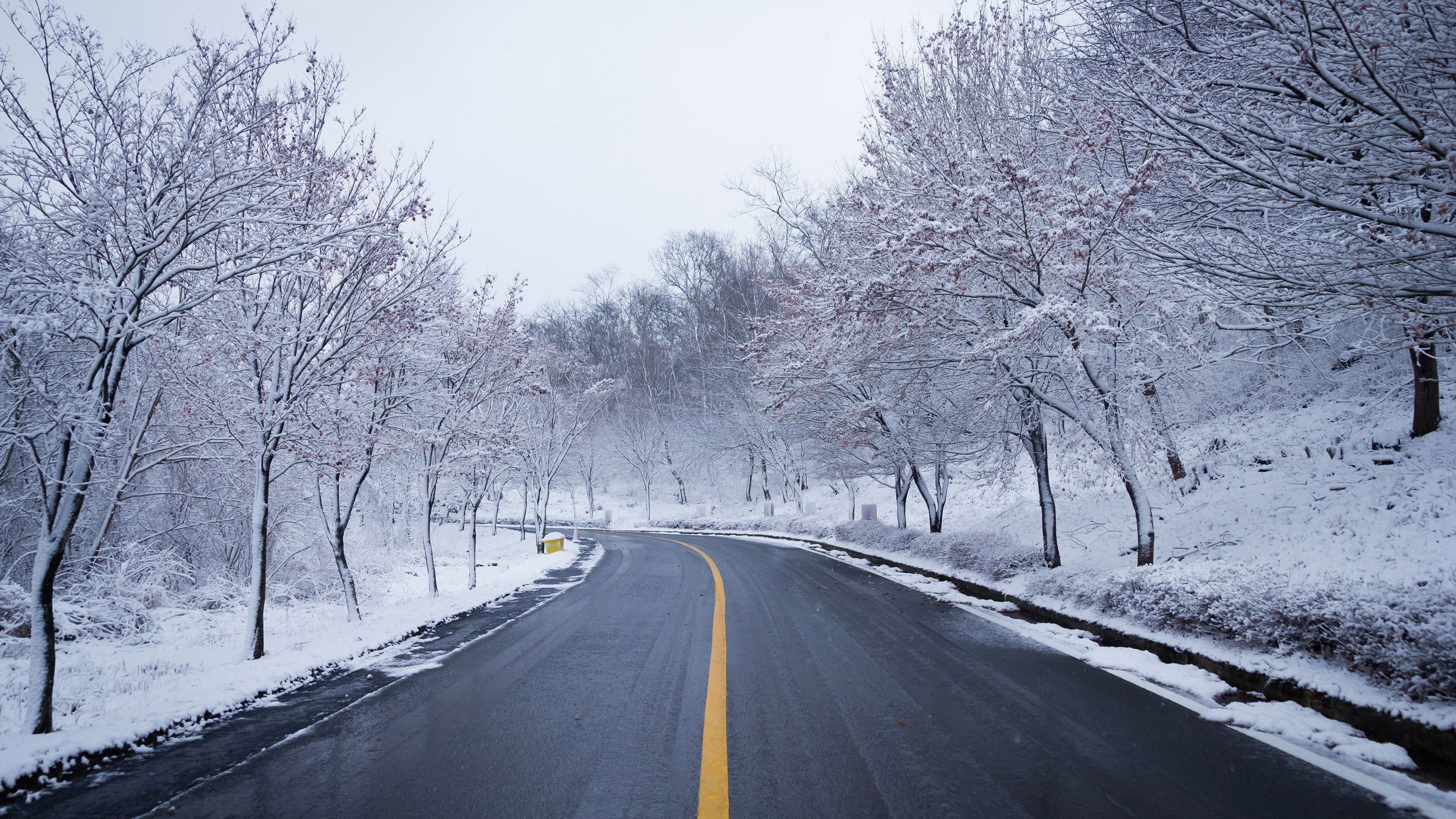 3840x2160 Winter jungle snow road nature scenery