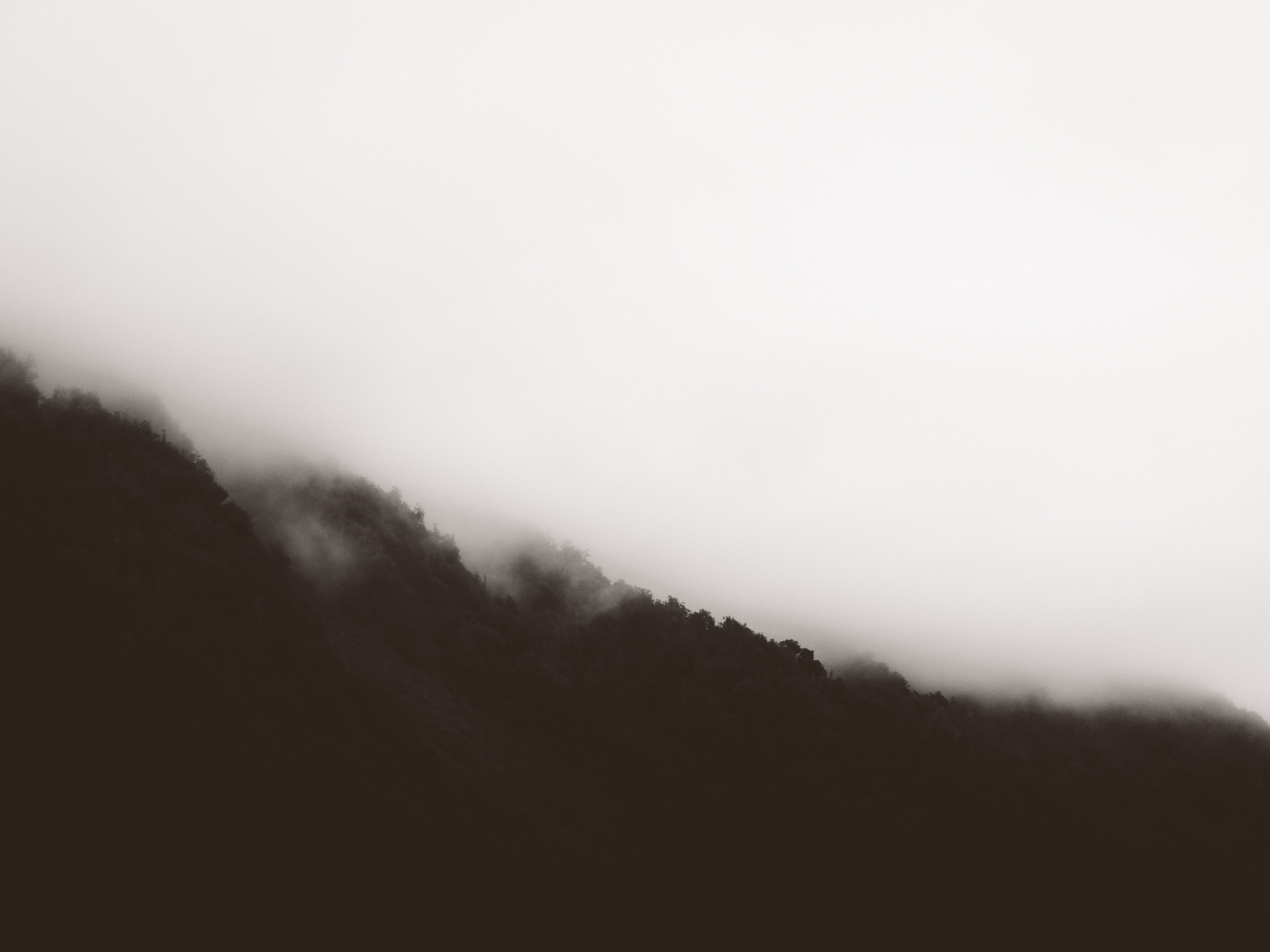 4000x3000 4000x3000 white, wallpaper, Free picture, trees, desktop, simple, mountain, black, black and white, minimal, mist, fade, cloud, slope, background, fog, monochrome, clouds, haze, tree, foggy Gallery HD Wallpaper