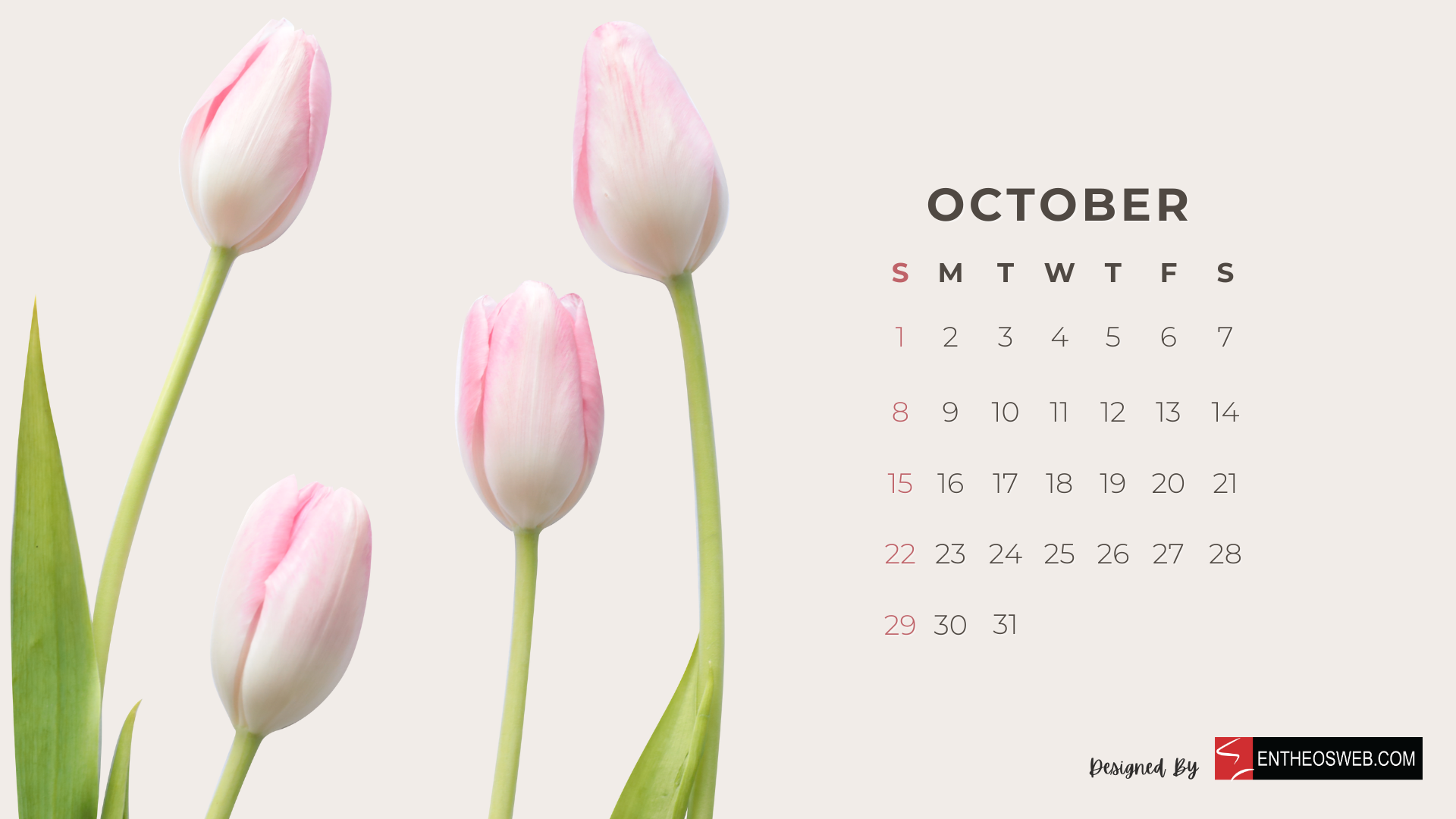 1920x1080 Beautiful Flowers 2023 Monthly Calendar for Desktop Wallpaper and Print