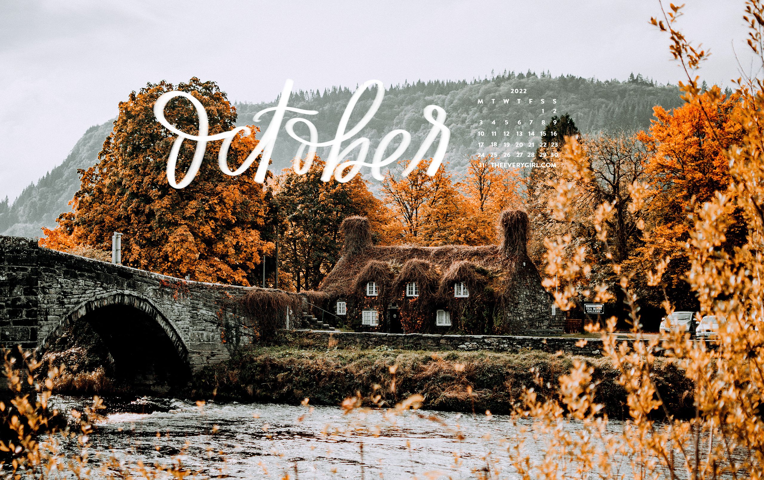 2560x1610 Free, Downloadable Tech Background for October 2022!