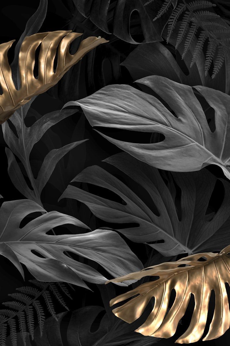 800x1200 Gold Black Leaves Image Wallpaper