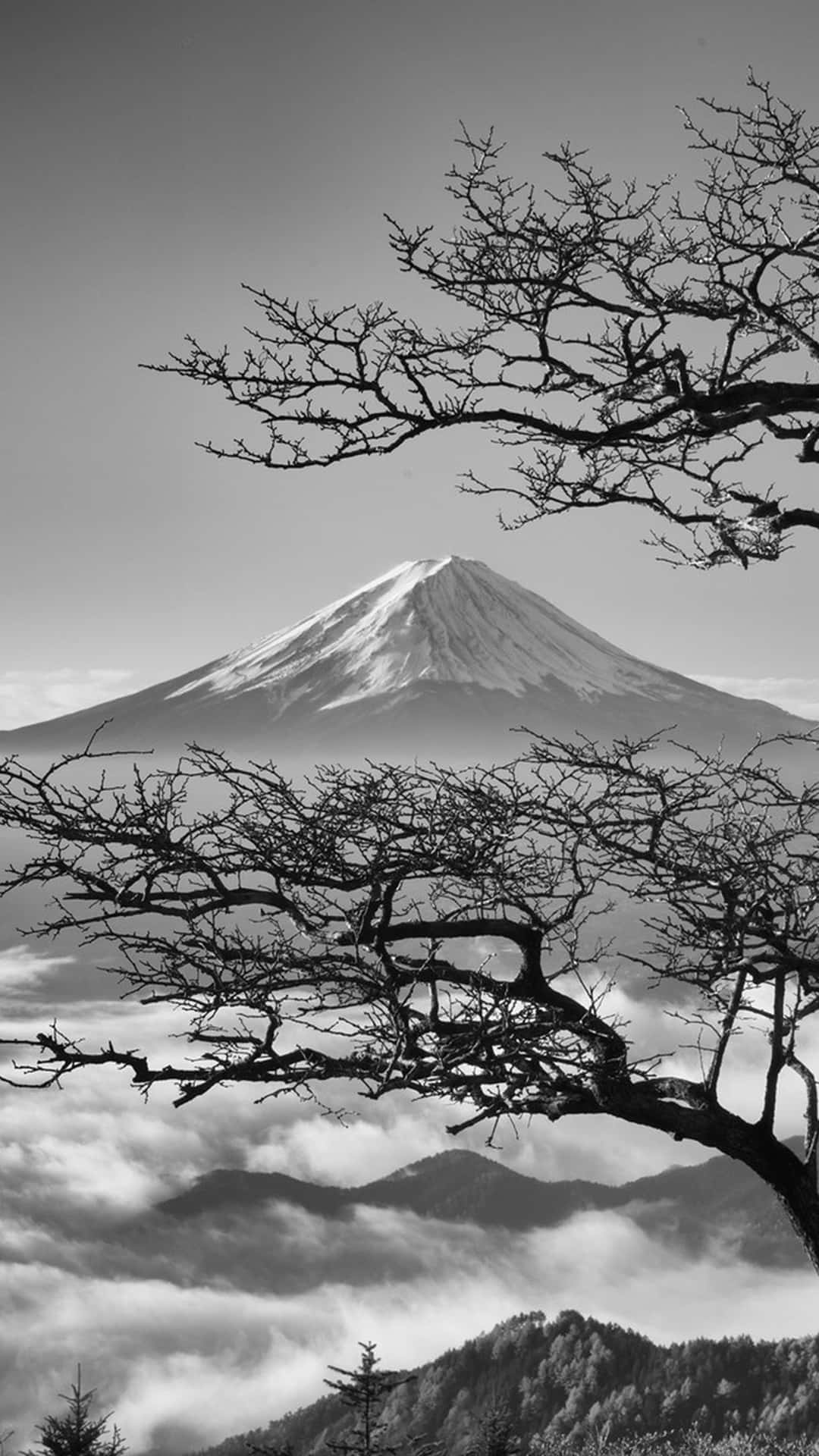 1080x1920 Download A Black And White Photo Of A Tree With A Cloud In The Background Wallpaper