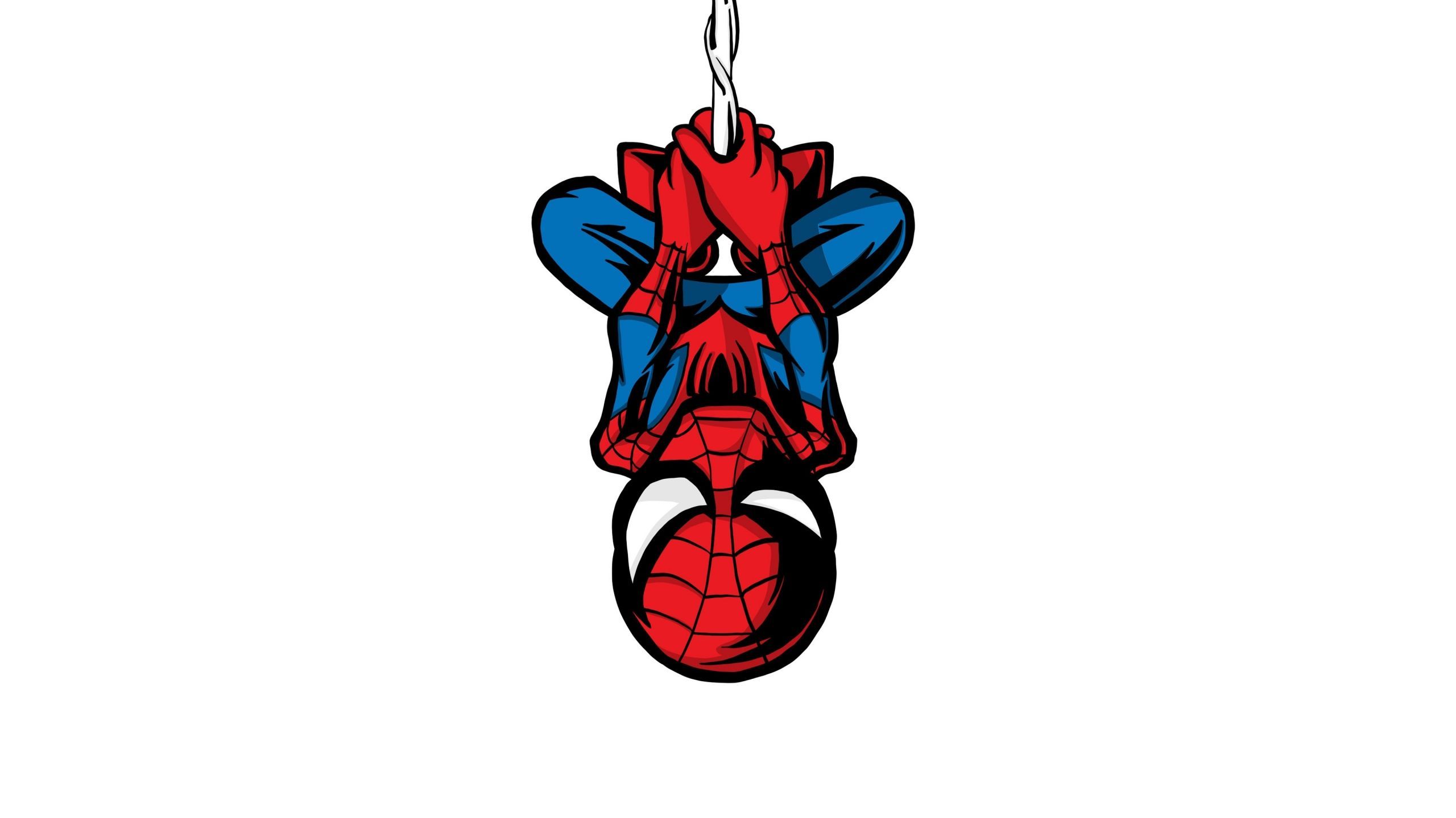 2560x1440 Download Wallpaper 2560x1440 Spider Man, Illustration, Minimalist, Hang, Artwork, Dual Wide 16:9 2560x1440 HD Background, 10266