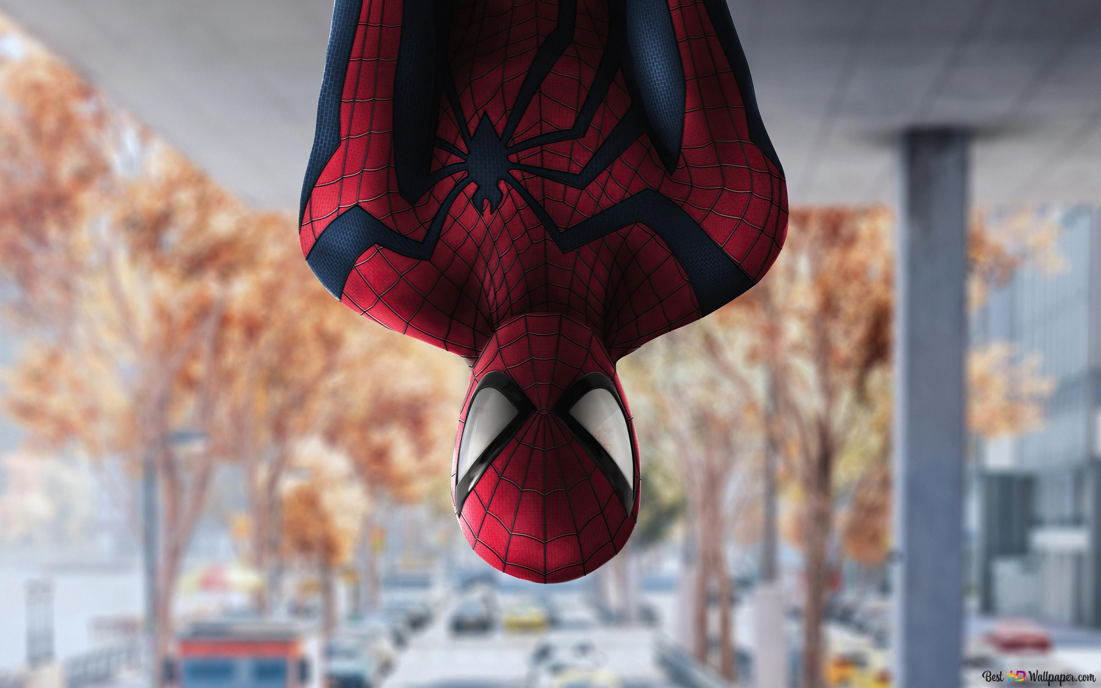 3840x2400 Spider Man Hanging Reverse From The Reality 4K wallpaper download