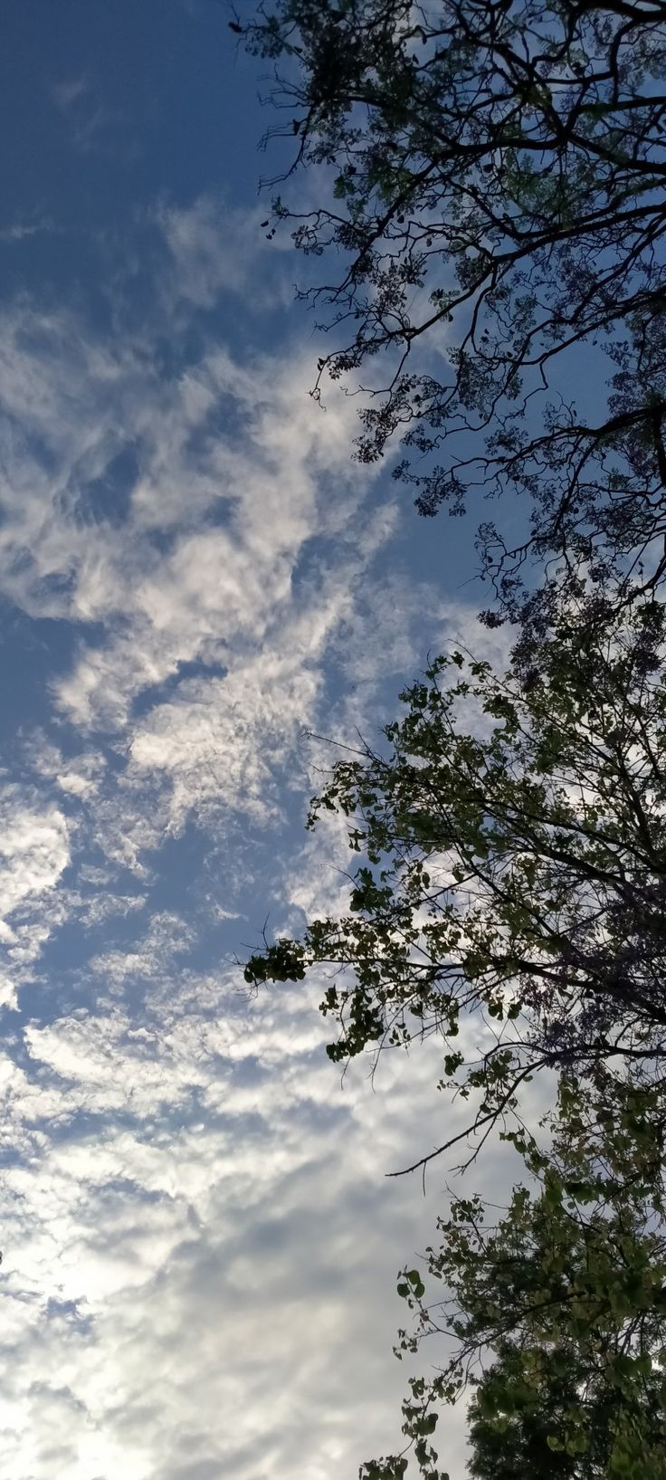 736x1635 manipur. I wallpaper, Outdoor, Clouds