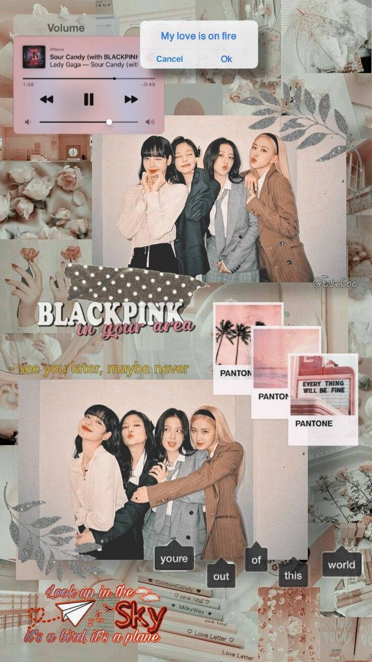 736x1308 Download Music Player Blackpink Aesthetic Wallpaper
