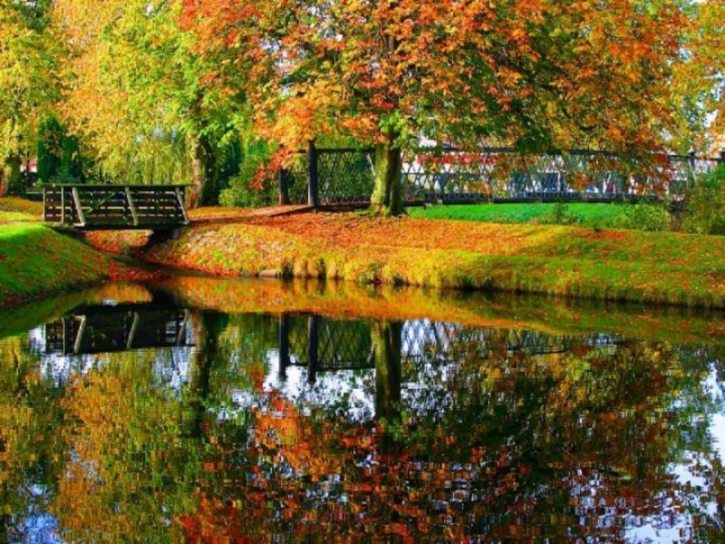 1024x768 Fall Wallpaper