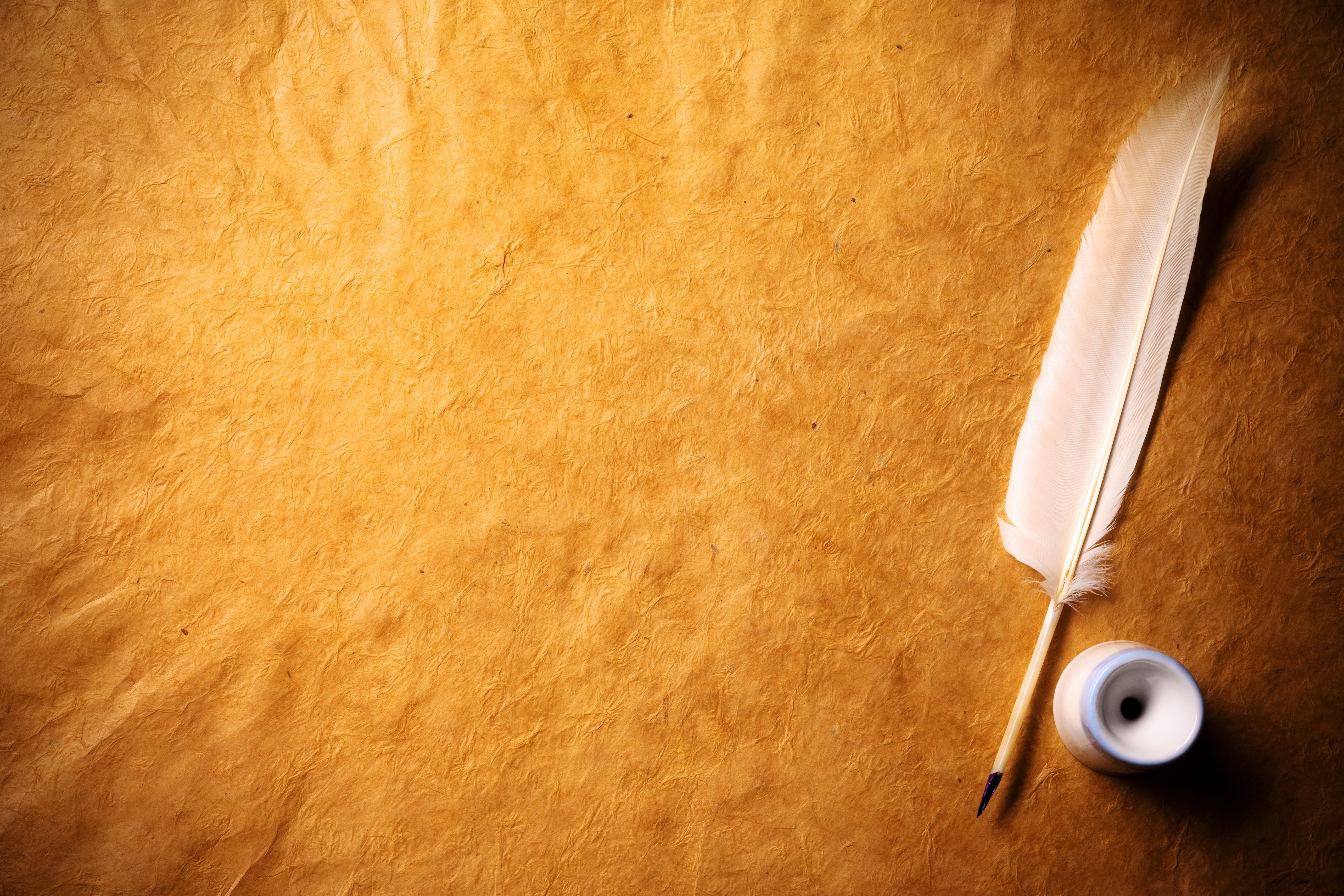 5616x3744 Wallpaper / Pen, Book, Quill Pen, Parchment, Blank, Correspondence, High Angle View, Studio Shot, Feather, Ink, Page, Literature, Writing, Close Up, 5K, White, Text Free Download