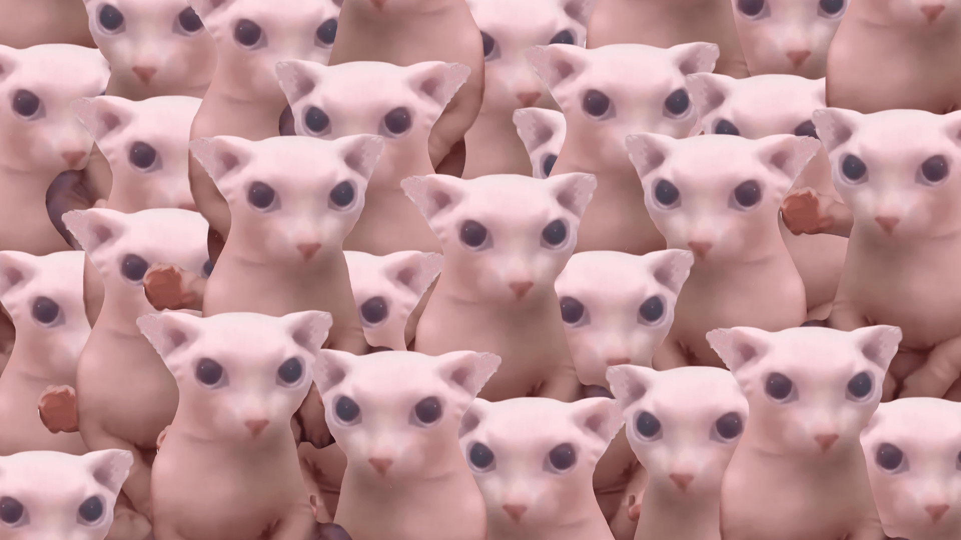1920x1080 The beautiful bingus collage in 1080p