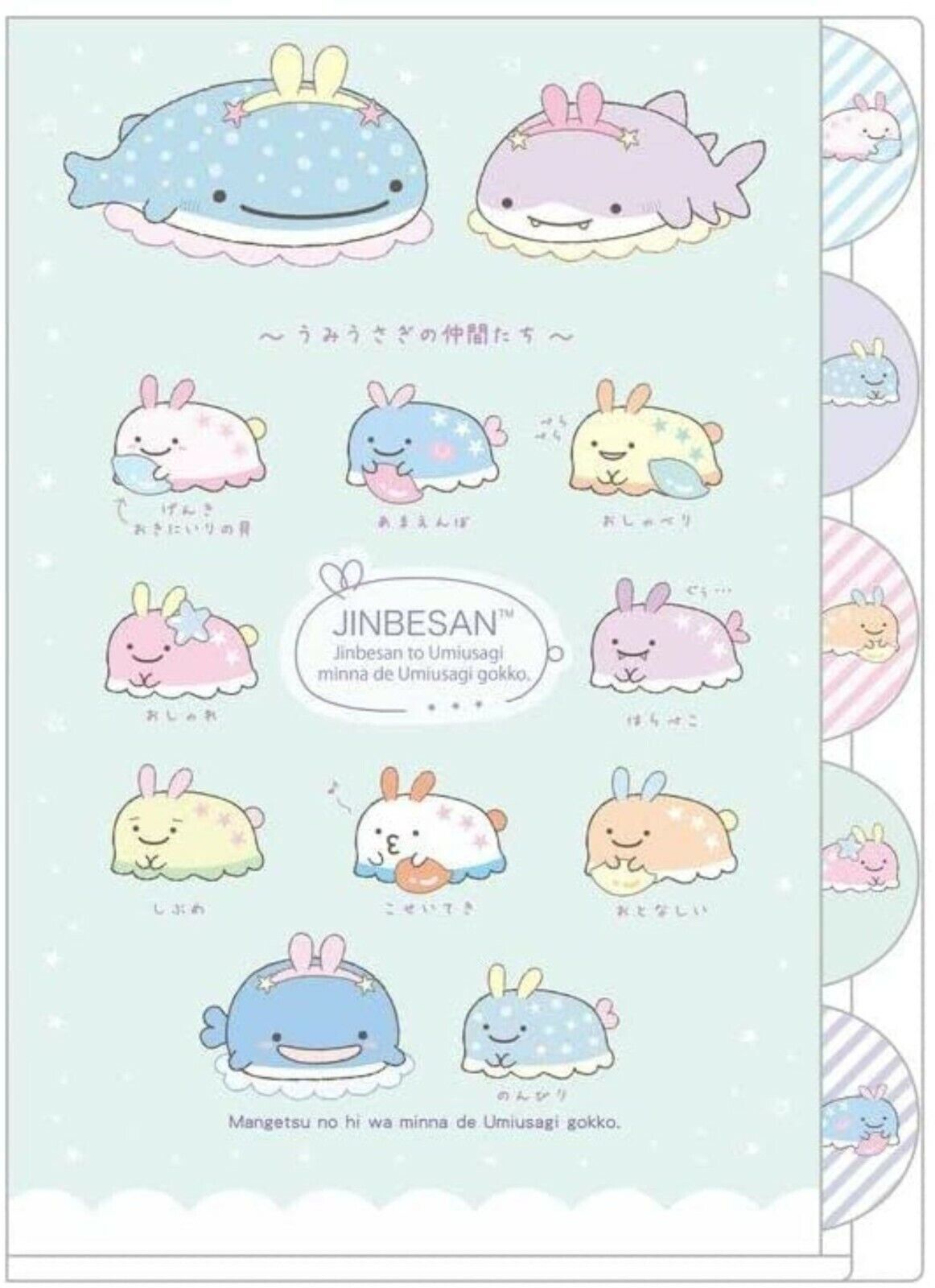 1162x1600 San X Character Jinbe San 5 Pockets A4 Index File Folder Whale Stationery New