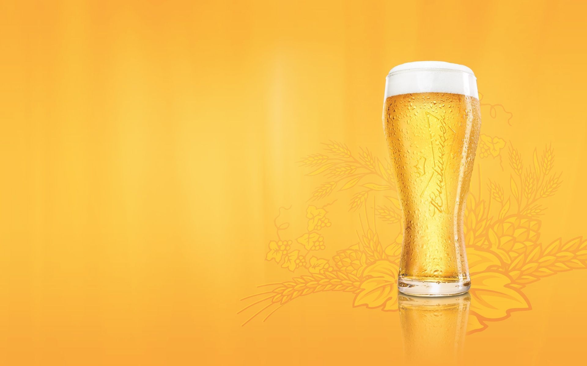 1920x1200 Beer Wallpaper