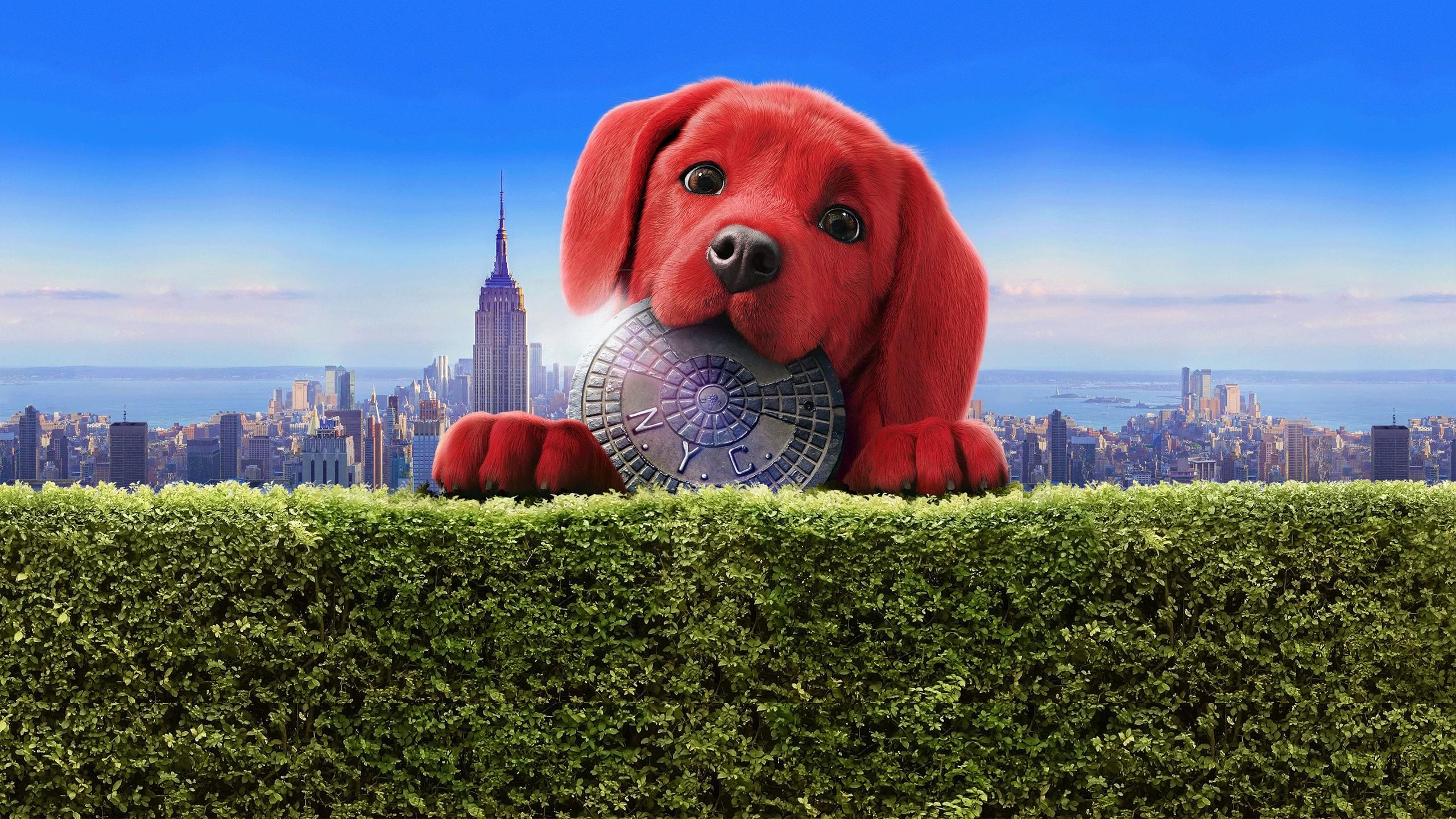 2560x1440 Clifford the Big Red Dog (2021) amazing family canine adventure