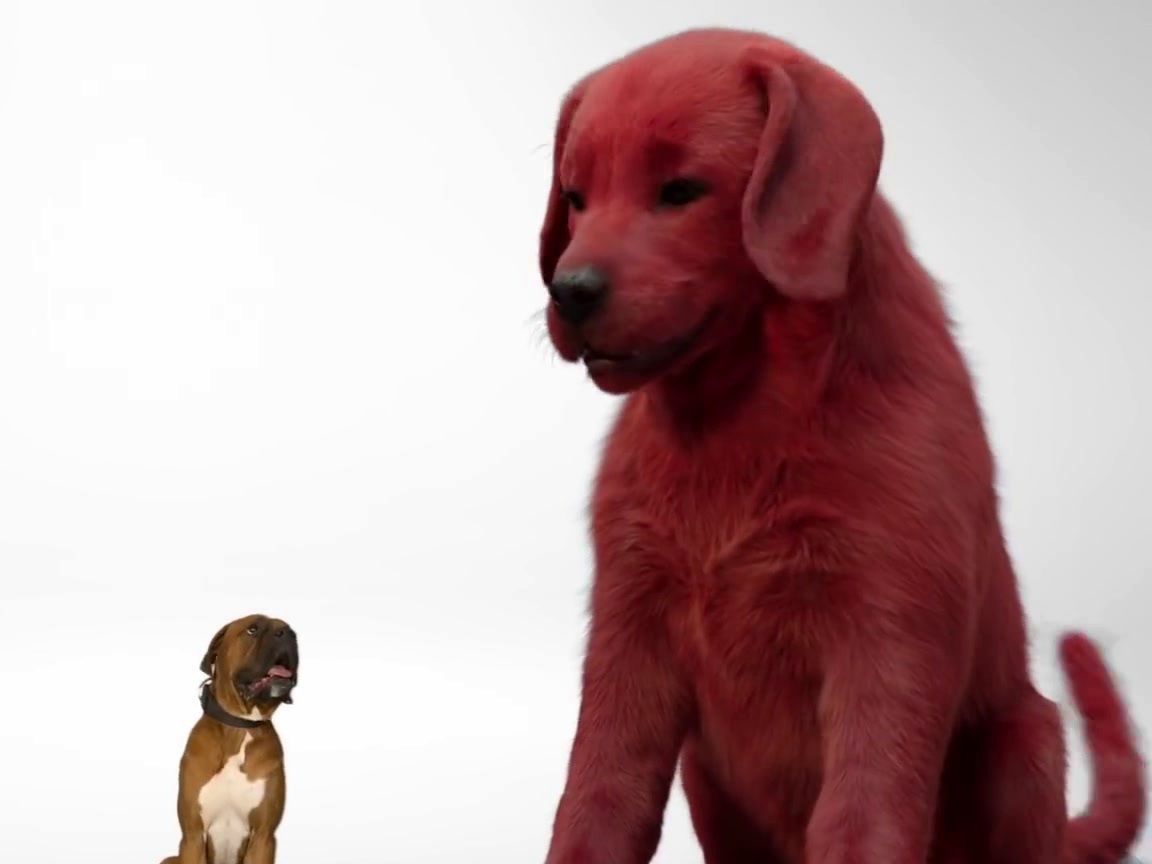 1152x864 Clifford The Big Red Dog Movie Wallpaper