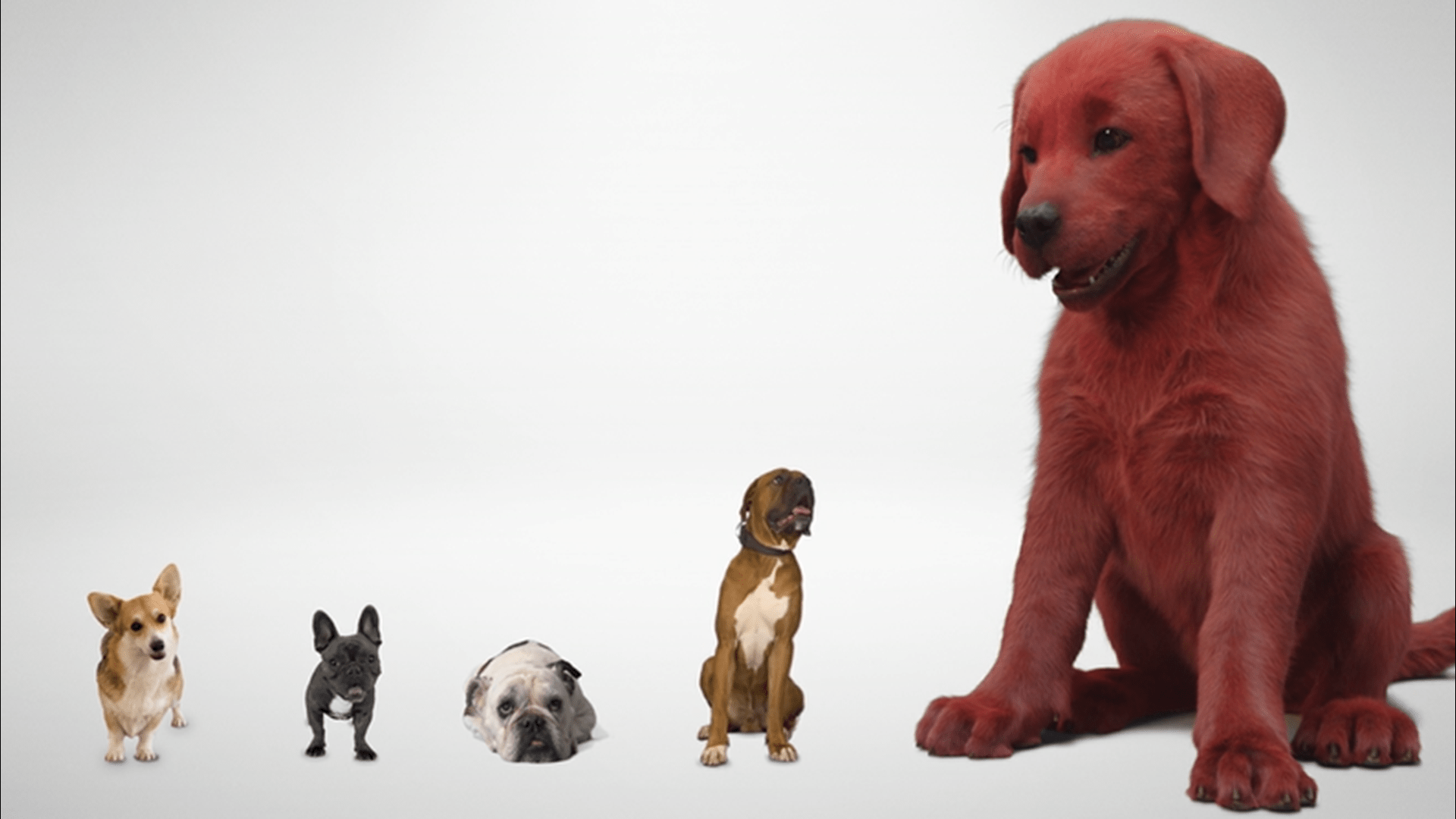 1920x1080 Clifford the Big Red Dog' first look