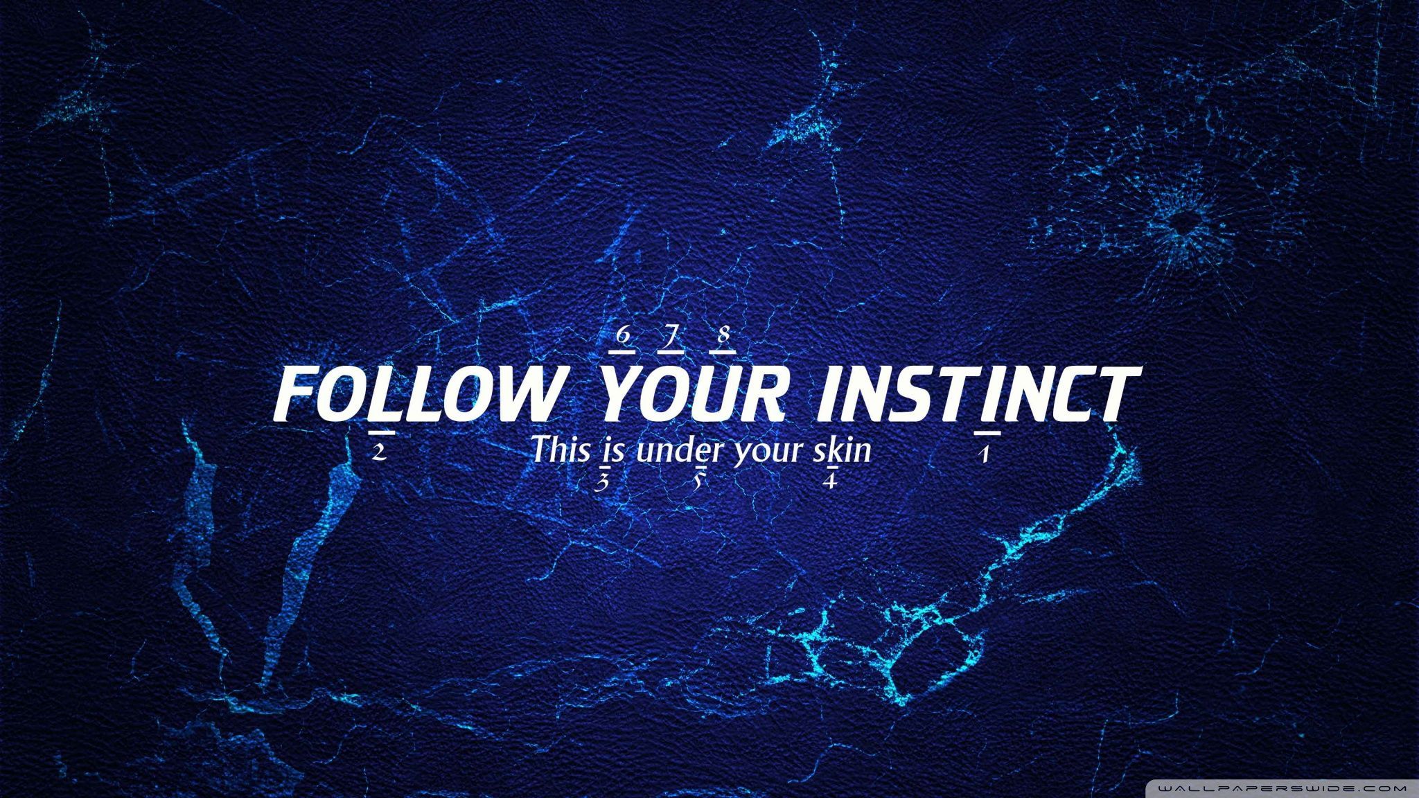 2048x1152 Free download Instinct Wallpaper 20481152 164970 HD Wallpaper Res 2048x1152 [2048x1152] for your Desktop, Mobile & Tablet. Explore 2048 by 1152 Wallpaper by 1152 Wallpaper, 2048 by 1152 Wallpaper YouTube, 2048 by 1152 Wallpaper Creator