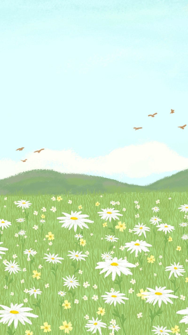 800x1422 Free Vectors, PNGs, Mockups & Background