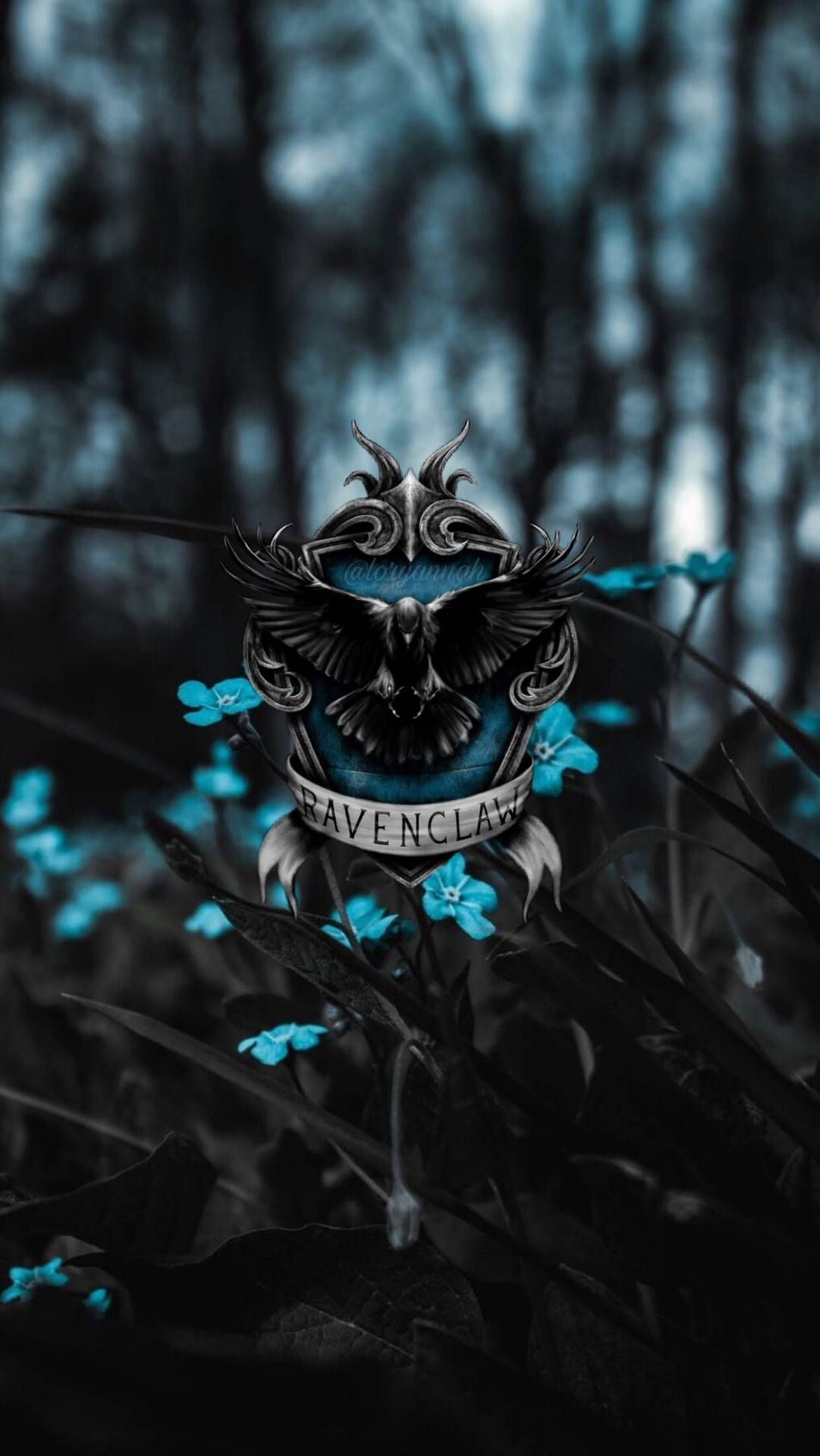 1081x1920 Download Black Ravenclaw Crest Aesthetic Wallpaper