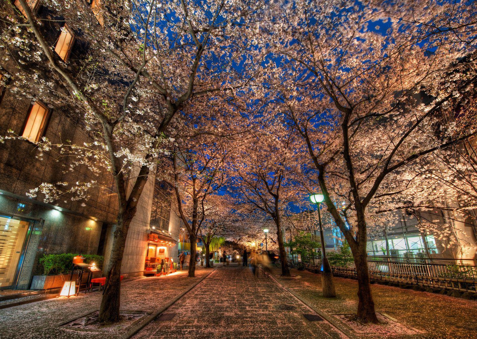 1600x1138 Japanese street wallpaper. Wallpaper Wide HD