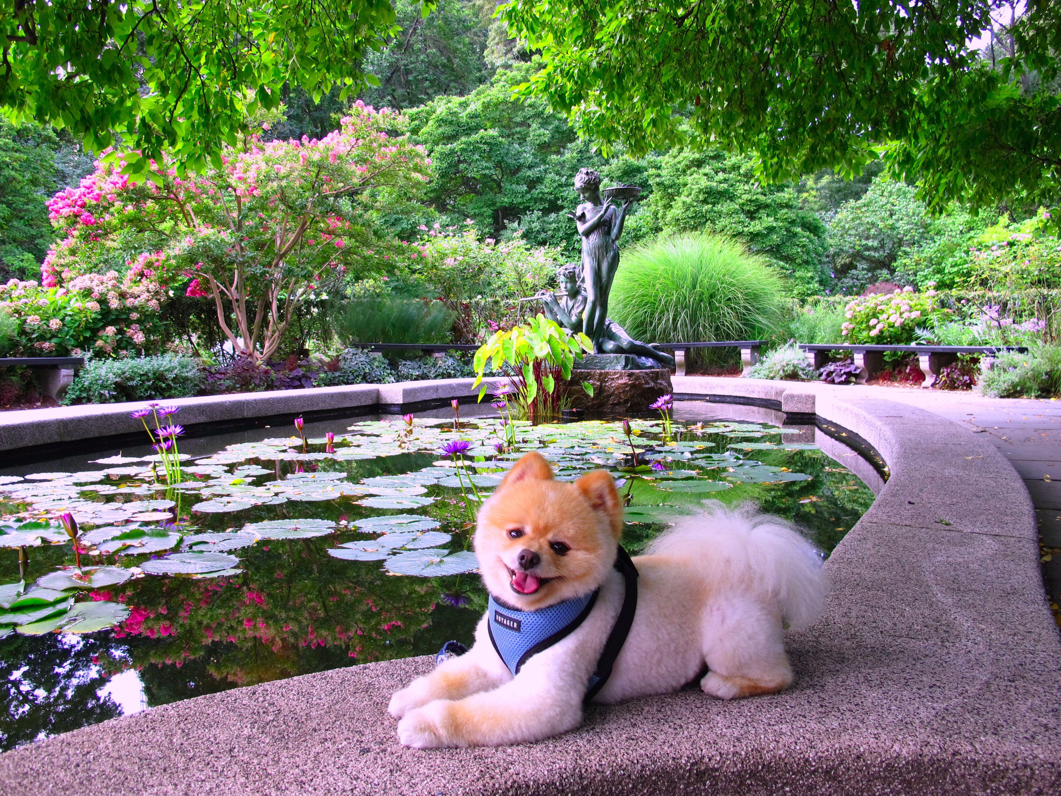 3648x2736 Conservatory Garden, English and the City. Events, Things