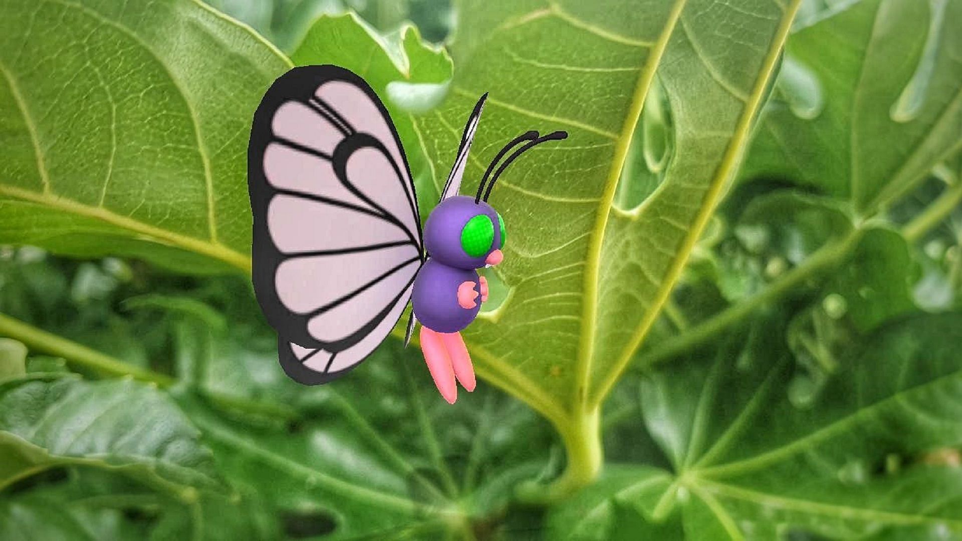 1920x1080 Pokemon GO Butterfree guide: Best counters, weaknesses, and more