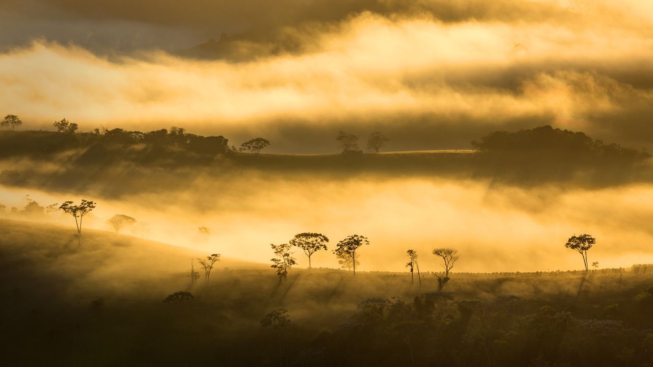 1280x720 Bing Wallpaper Archive