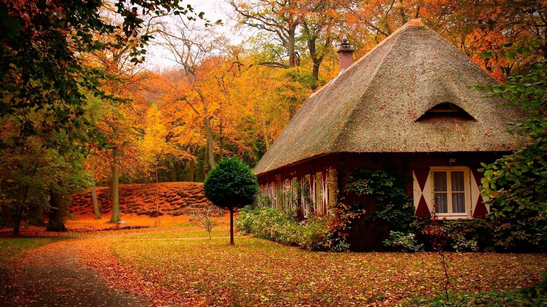 1920x1080 Autumn Cozy Home Wallpaper
