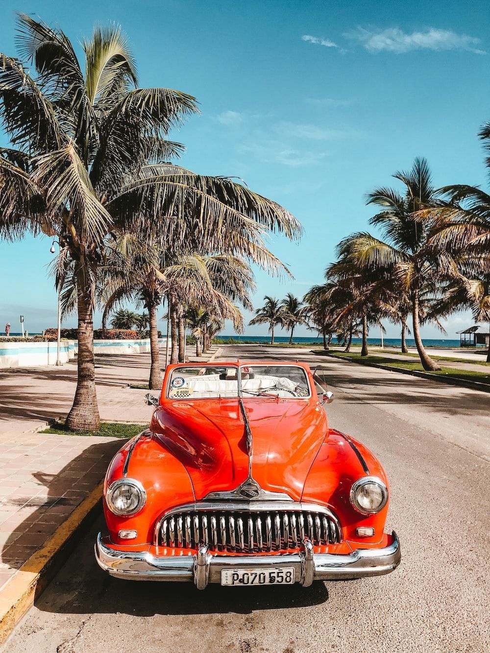 1000x1333 Havana Picture [HD]. Download Free Image