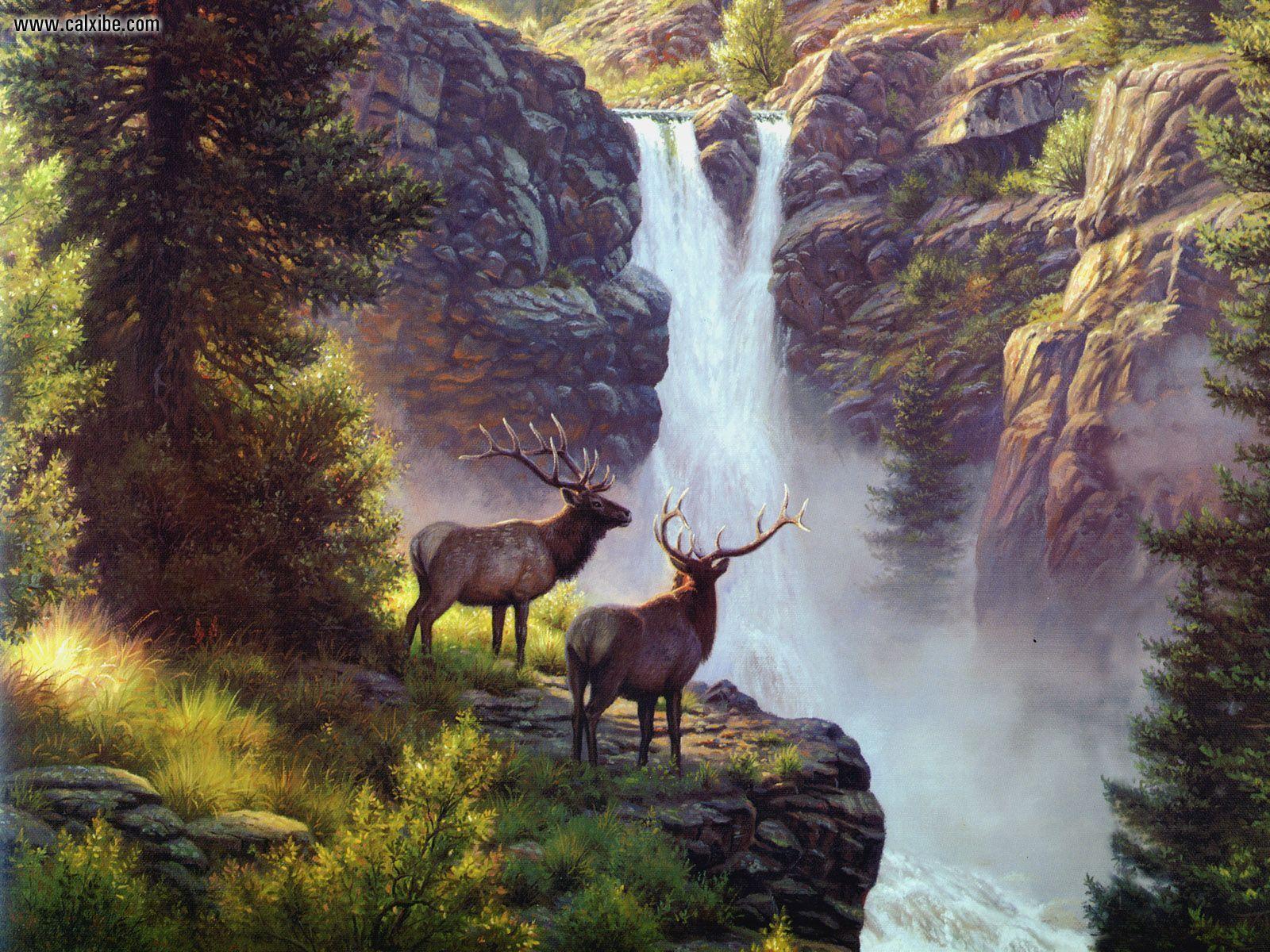 1600x1200 paintings of elks. Drawing & Painting: Mark Keathley Elk, picture