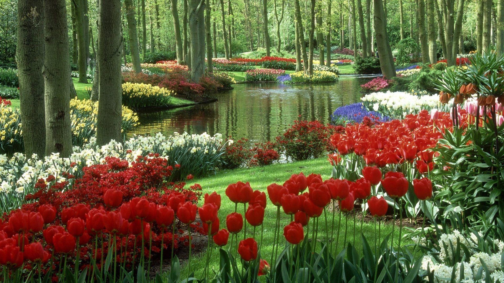 1920x1080 flower garden. french garden wallpaper. background albi france