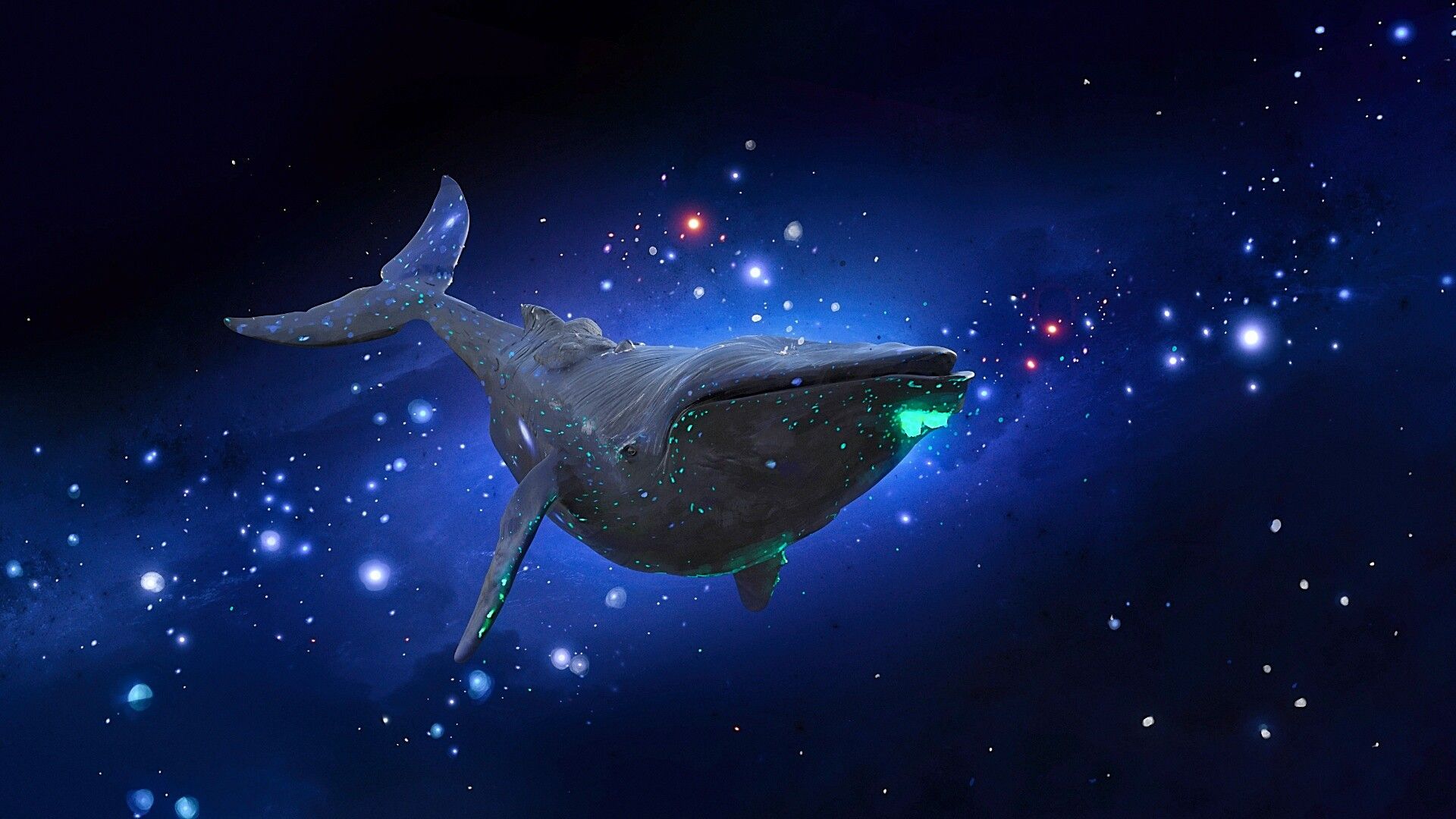 Space Whale Wallpapers - Top Free Space Whale Backgrounds - WallpaperAccess