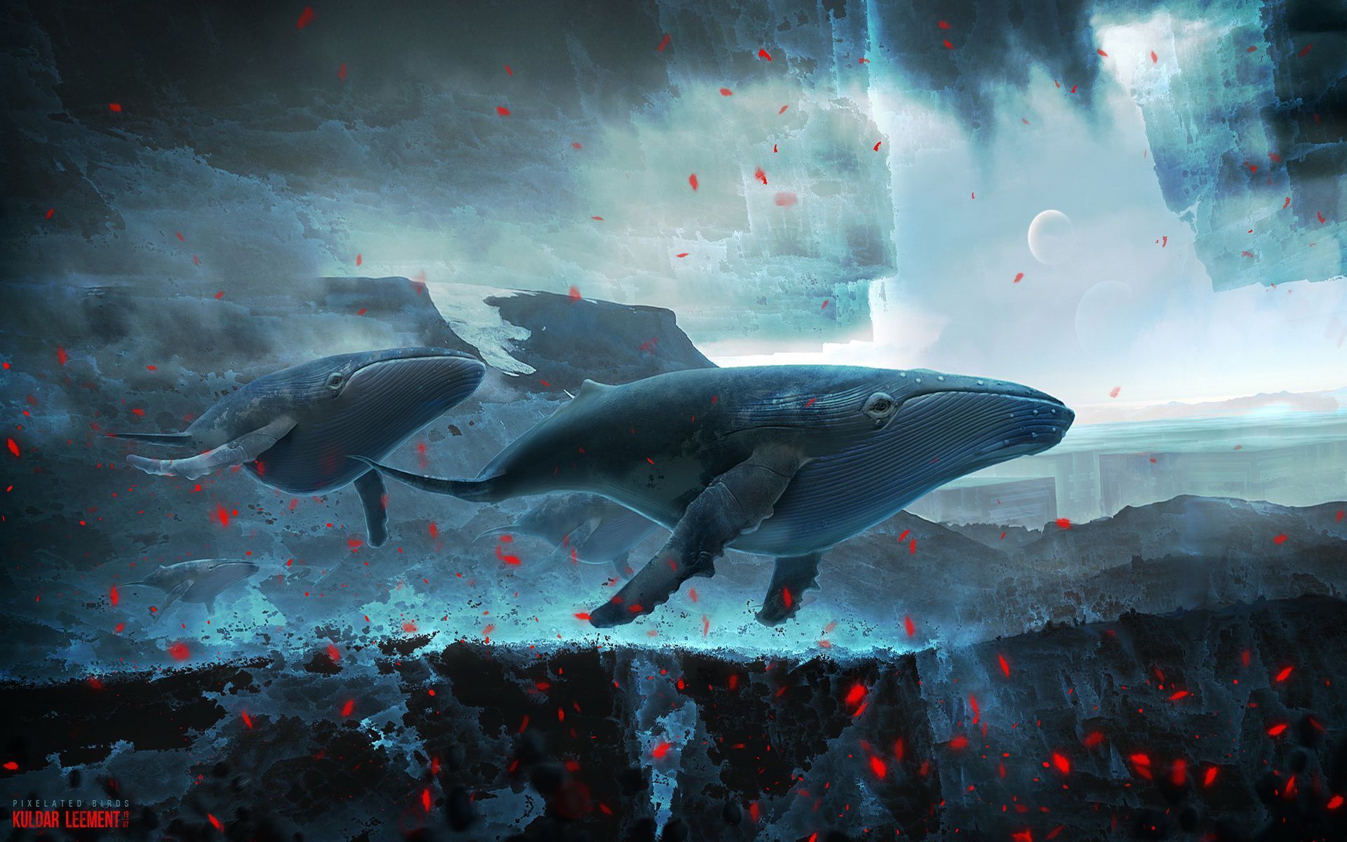 1920x1200 Fantasy Whale HD Wallpaper and Background