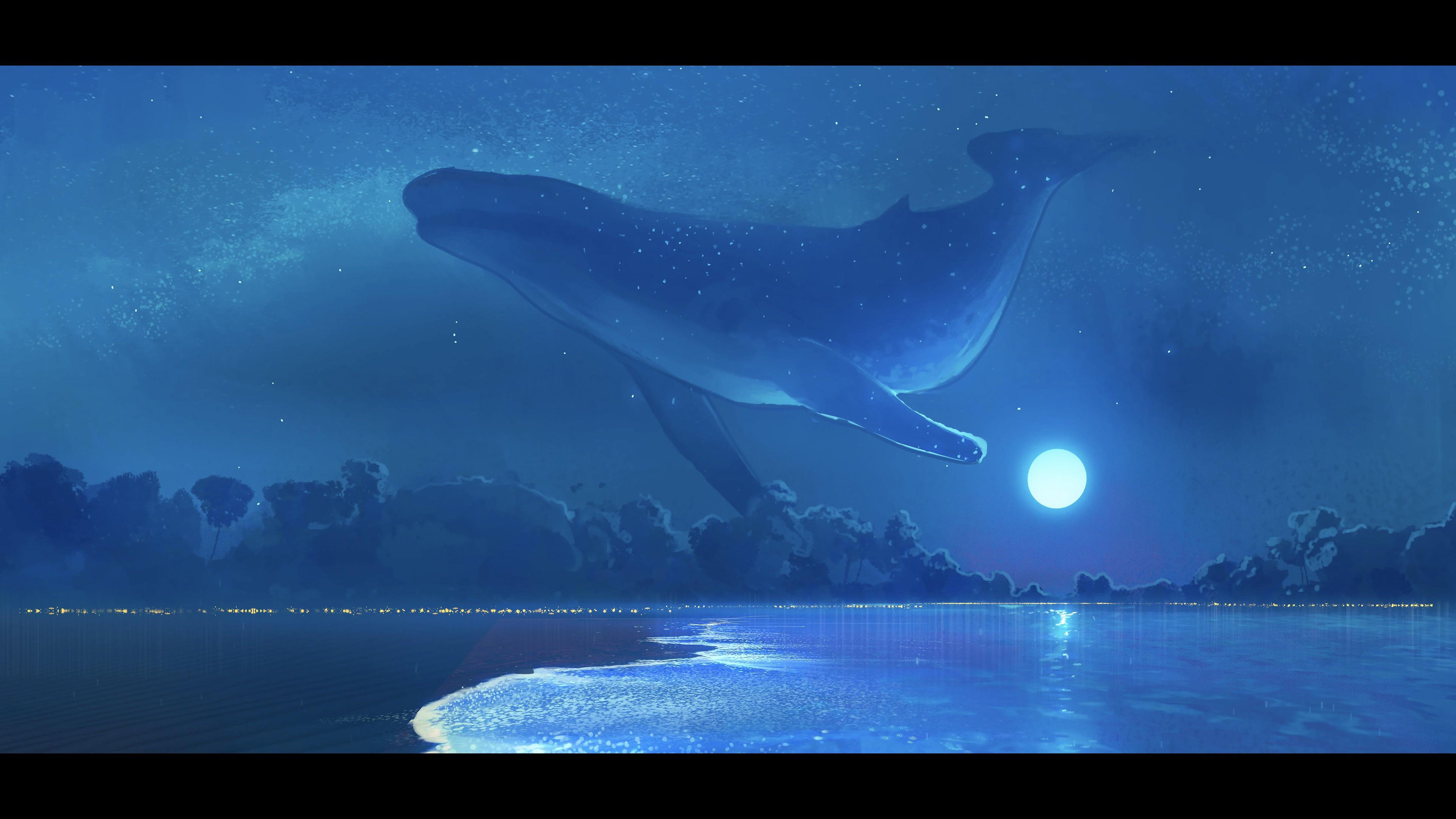 3840x2160 Whale 4K wallpaper for your desktop or mobile screen free and easy to download