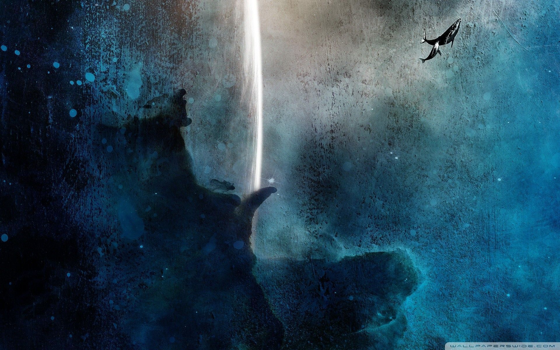 1920x1200 Whale Wallpaper For Desktop