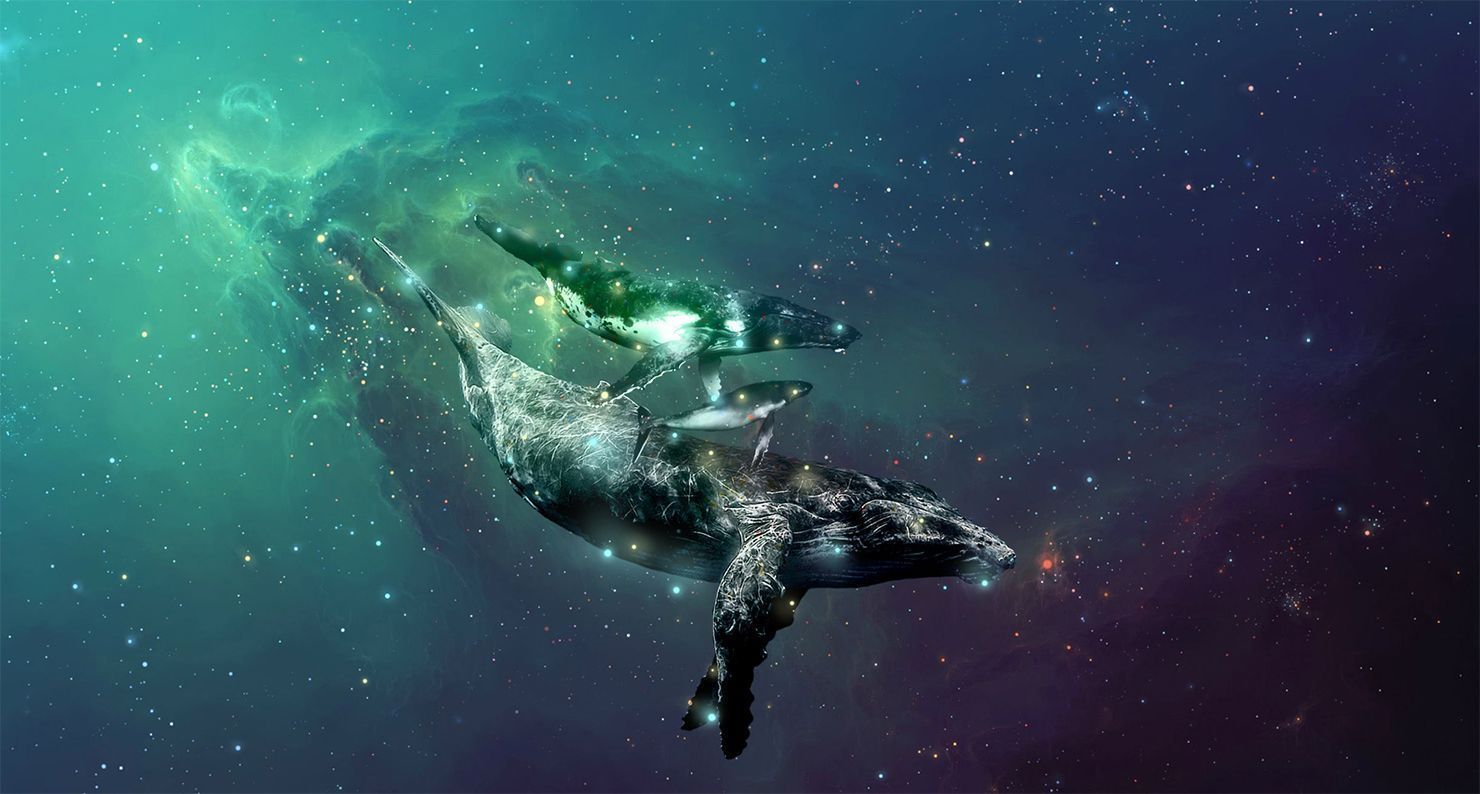 1480x794 The Fantastical Allure of the Space Whale. Lapham's Quarterly
