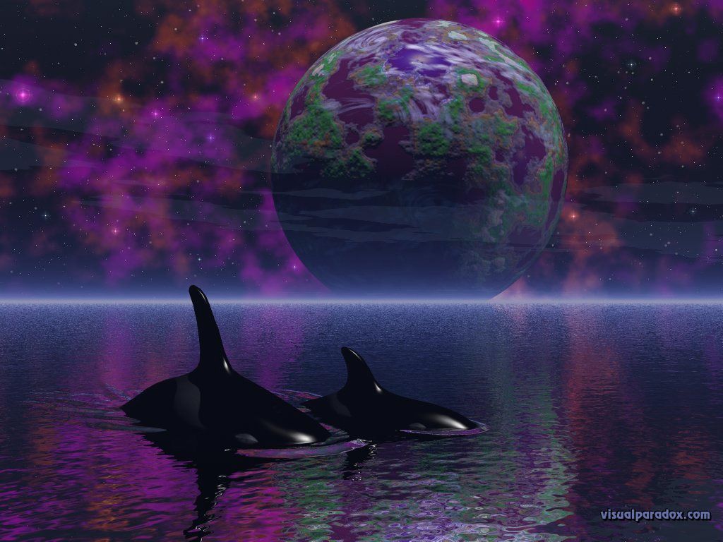 1024x768 Free download water spiritual stars space orca whales planets 3D wallpaper [1024x768] for your Desktop, Mobile & Tablet. Explore Free Orca Wallpaper. Orca Whale Wallpaper, Orca Wallpaper, Orca Wallpaper