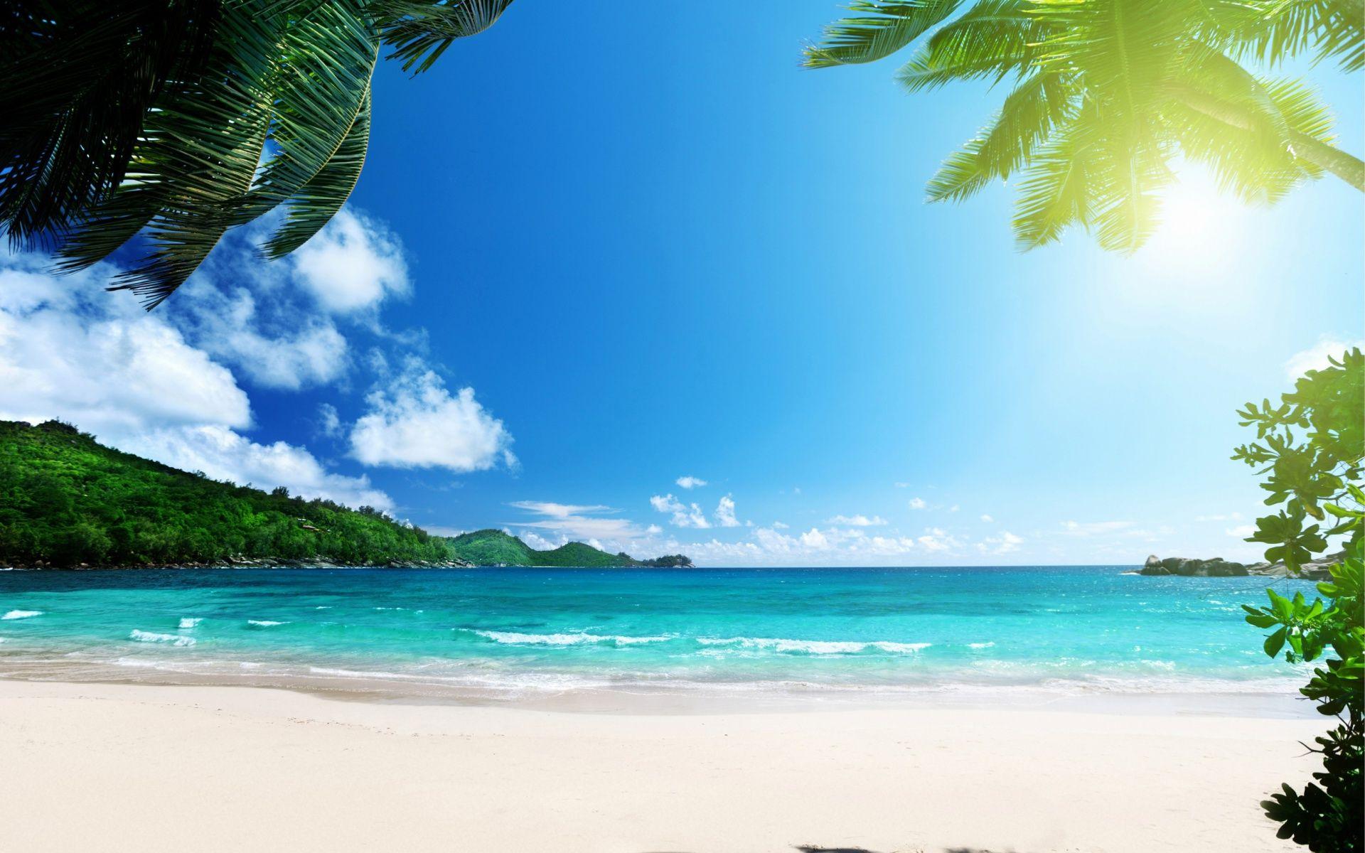 1920x1200 Tropics, beach, palms, sea, islands, sun, stunning, caribbean sea