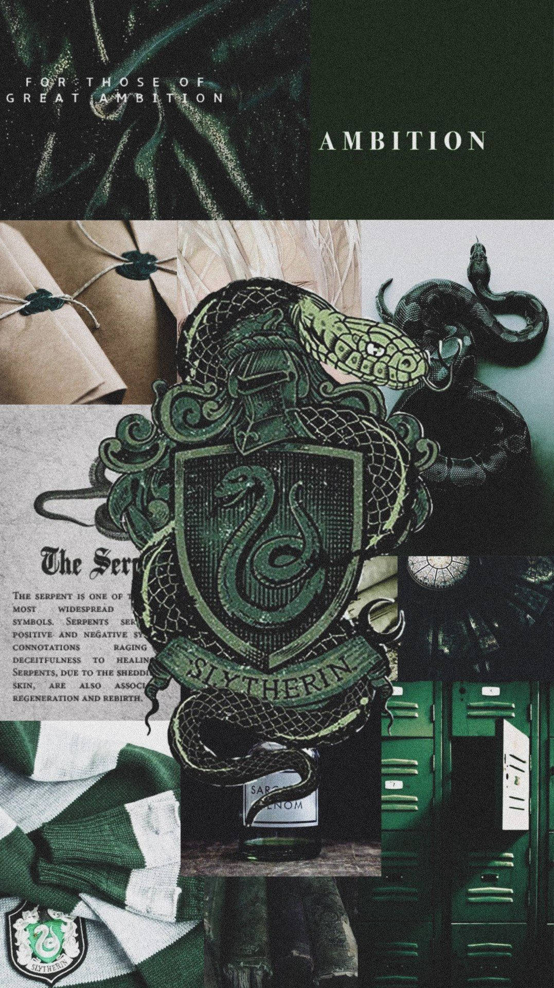 1077x1920 Download Slytherin Aesthetic Cartoonish Snake Emblem Wallpaper