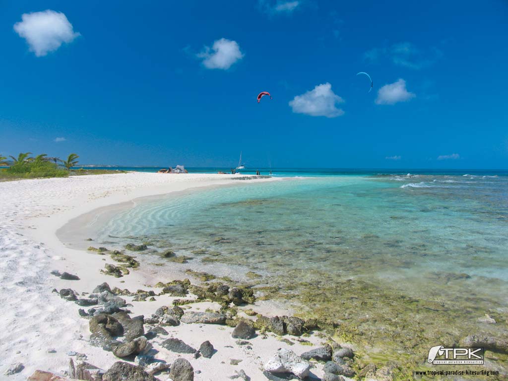 1024x768 Caribbean Beach Wallpaper. Welcome to Tropical Paradise