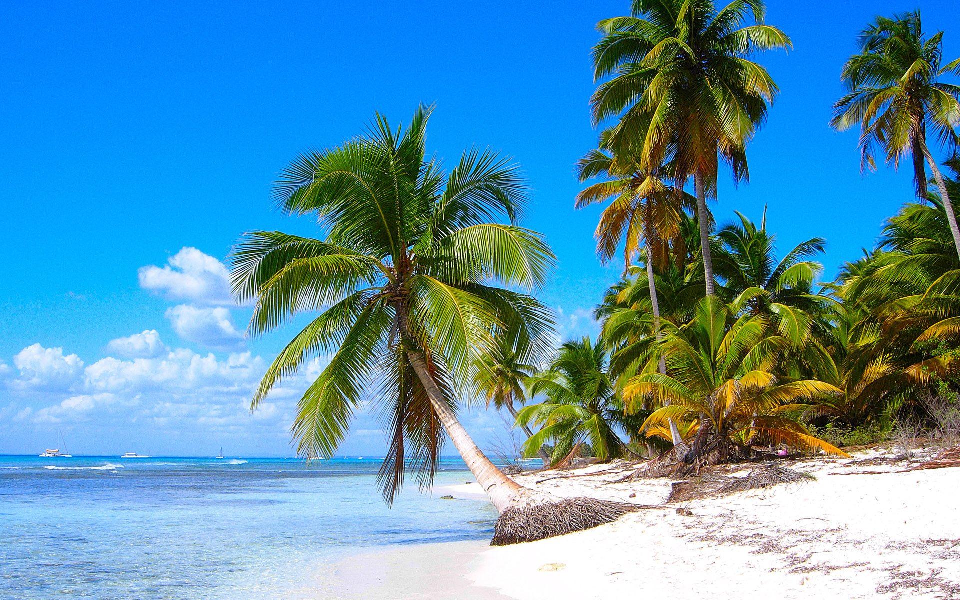 1920x1200 Stunning Hawaii wallpaperx1200